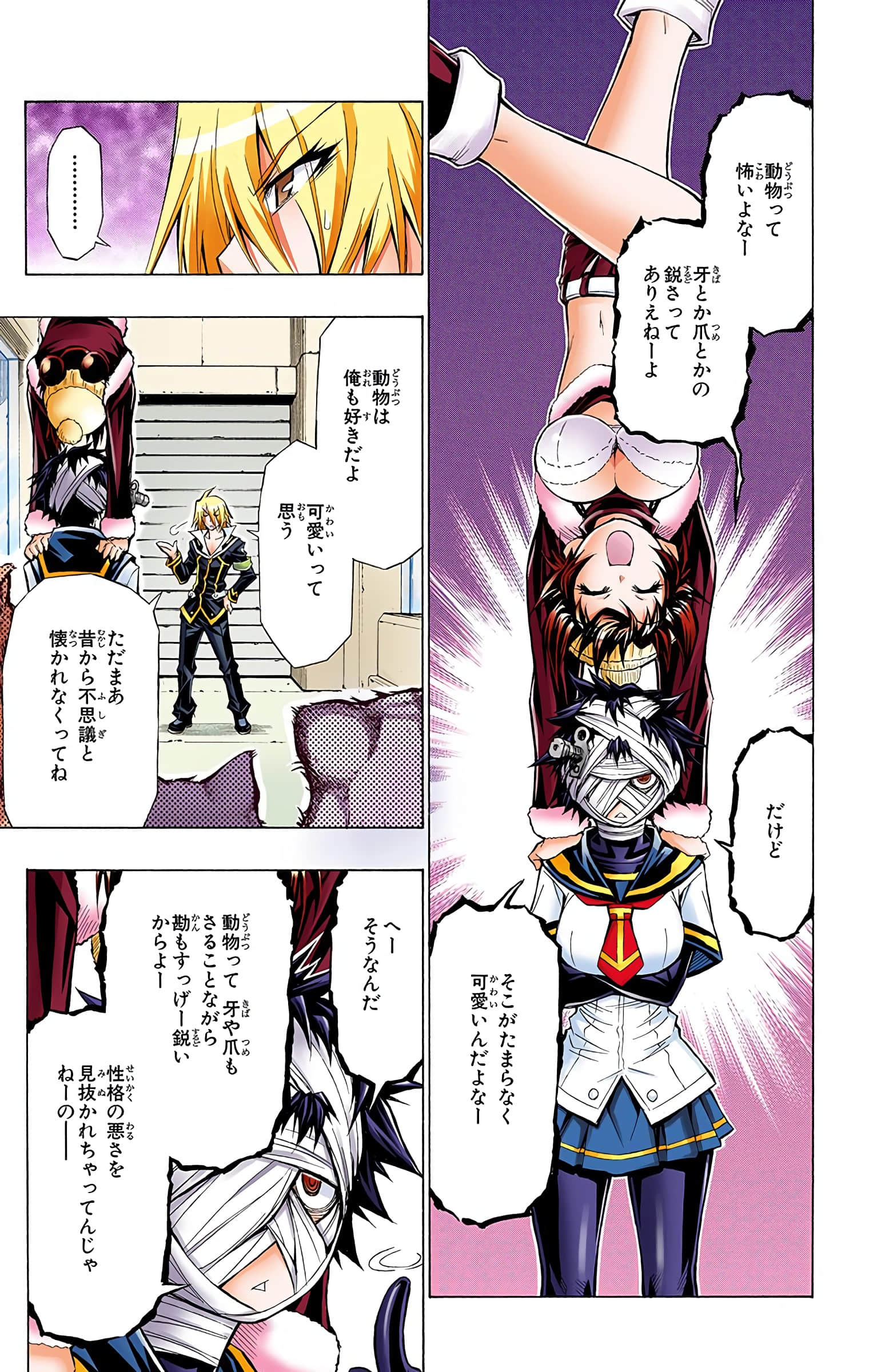 第 6 页