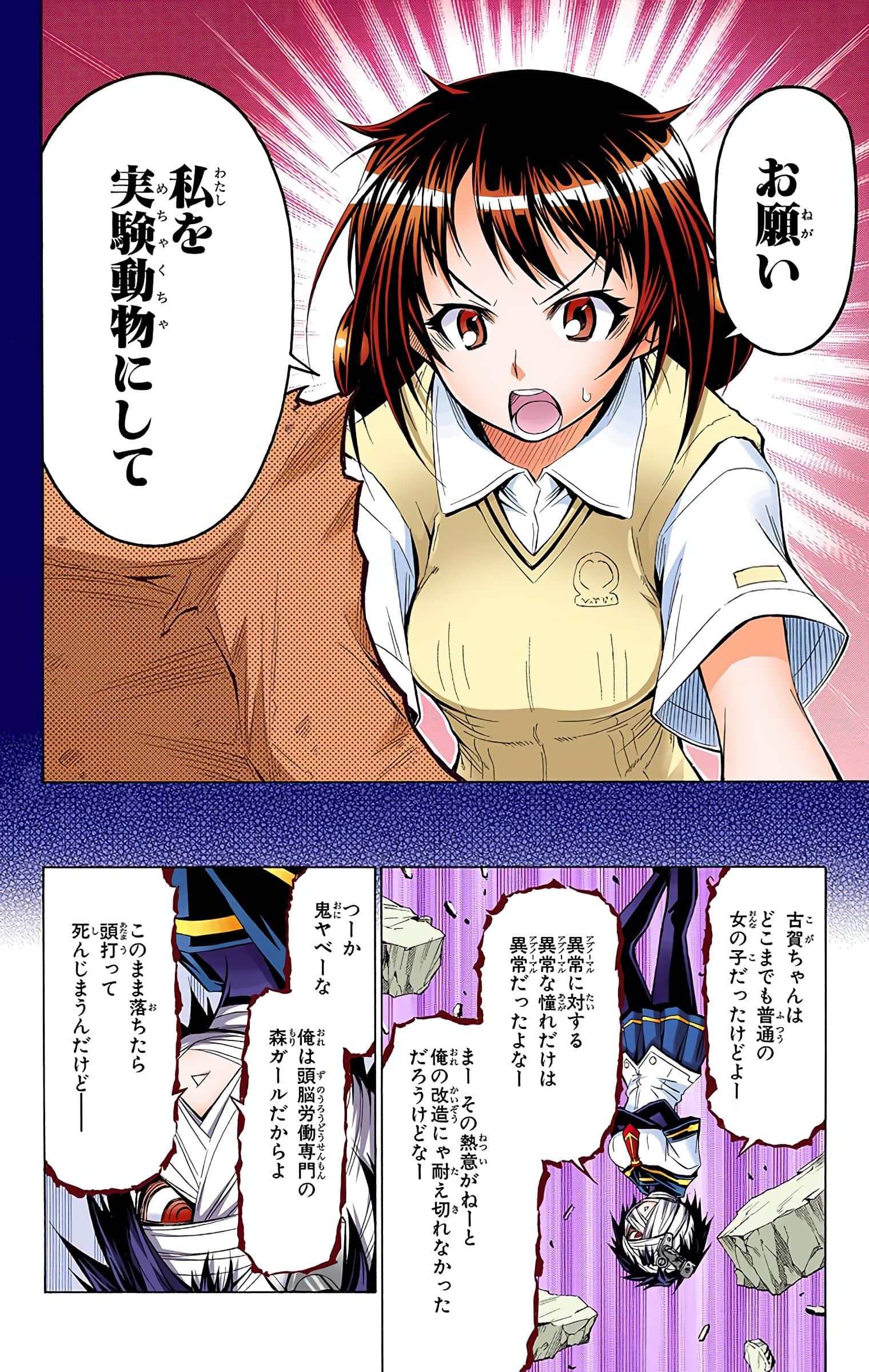 第 29 页