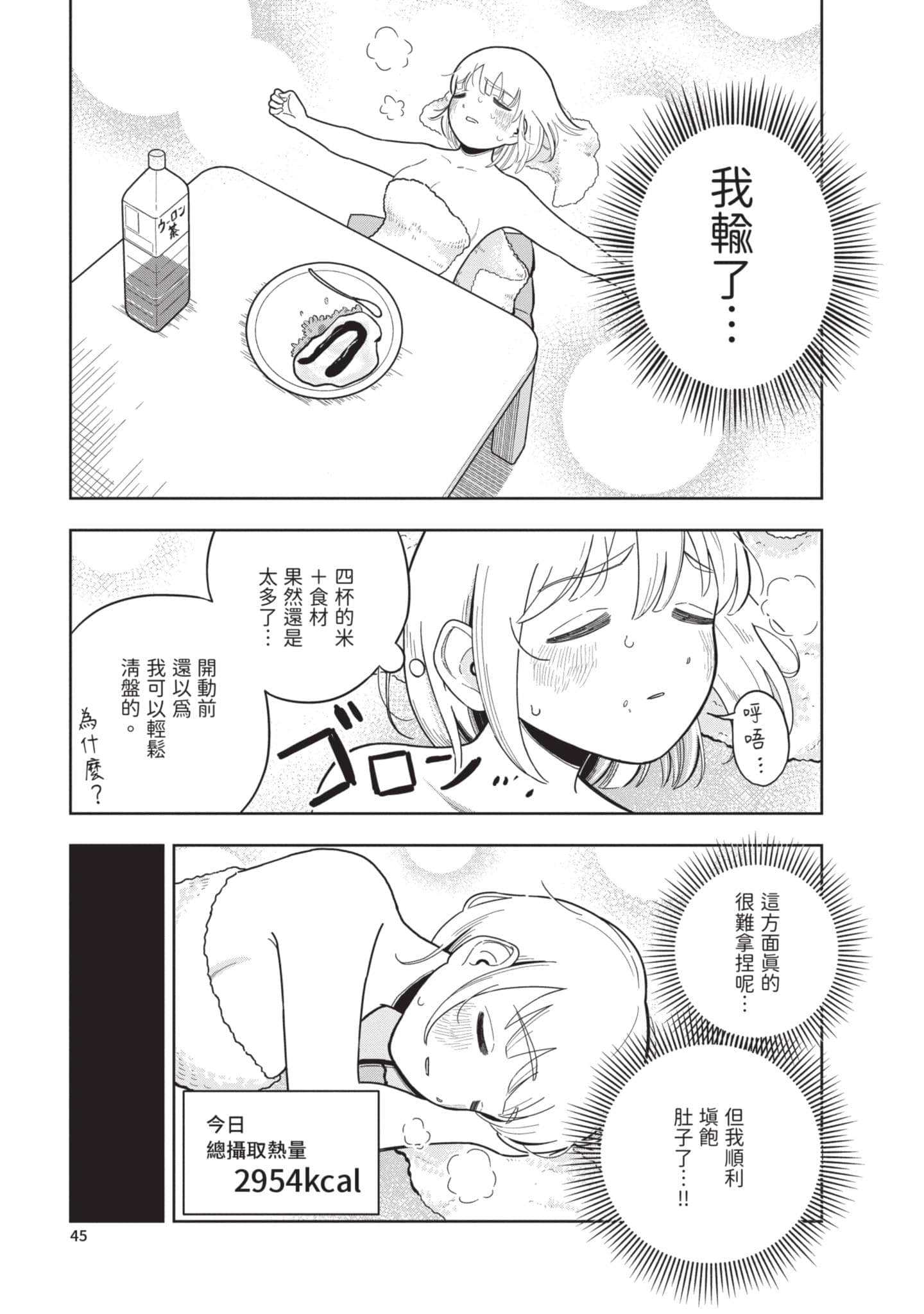 第 46 页