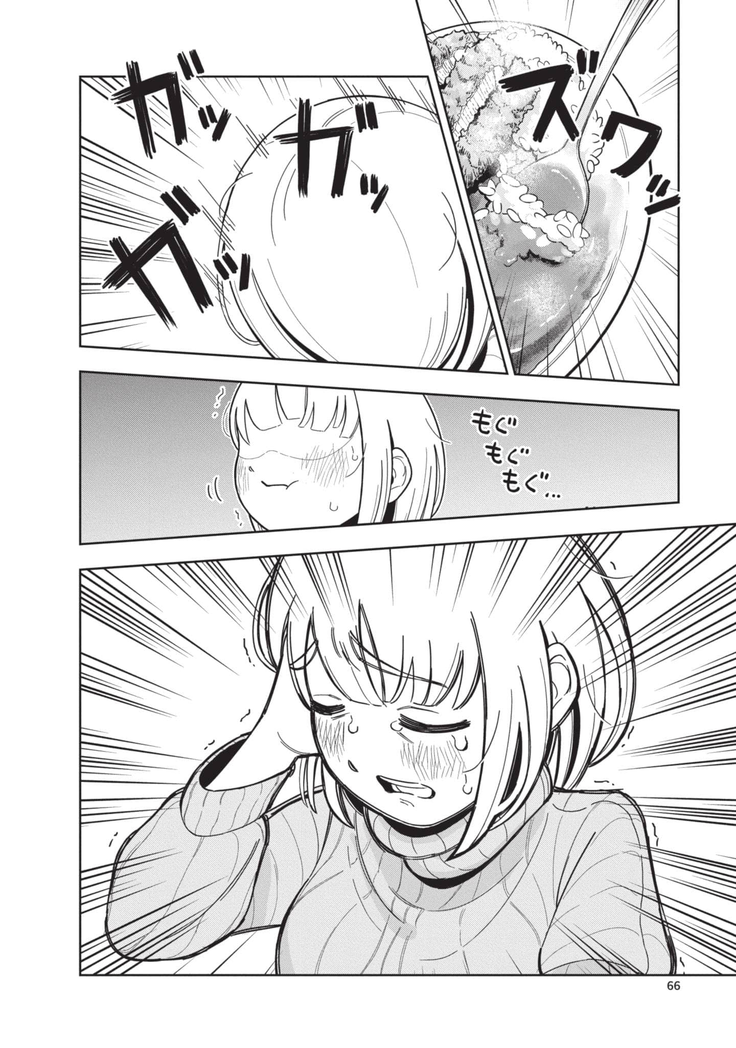 第 67 页