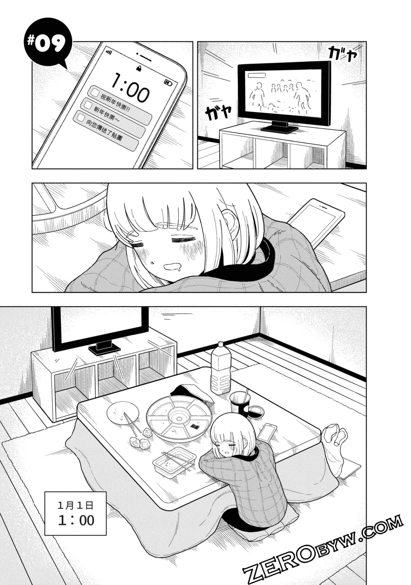 第 48 页