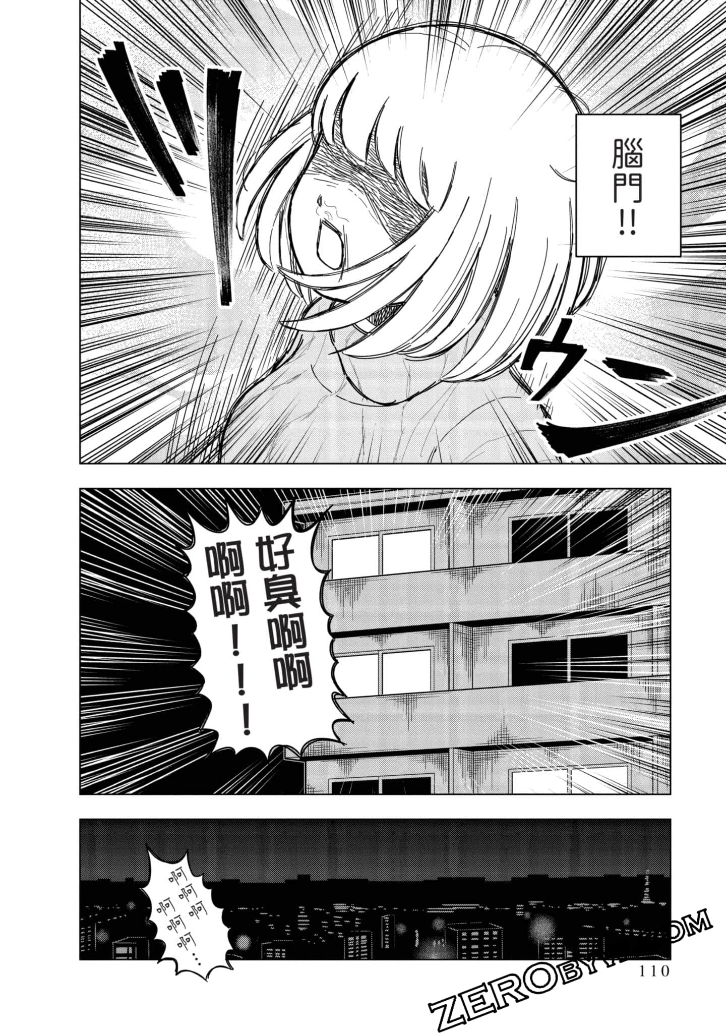 第 111 页