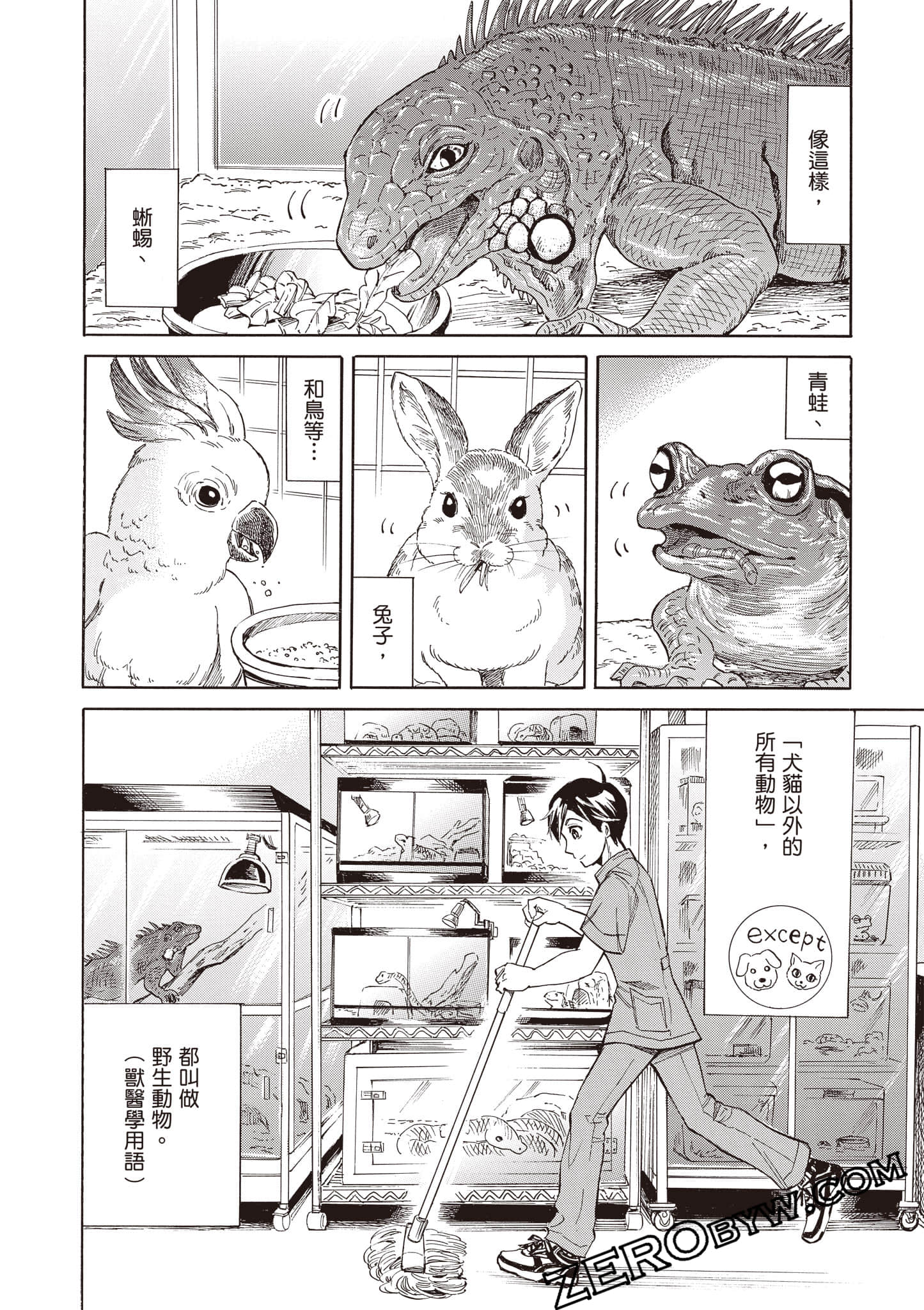 Page 52
