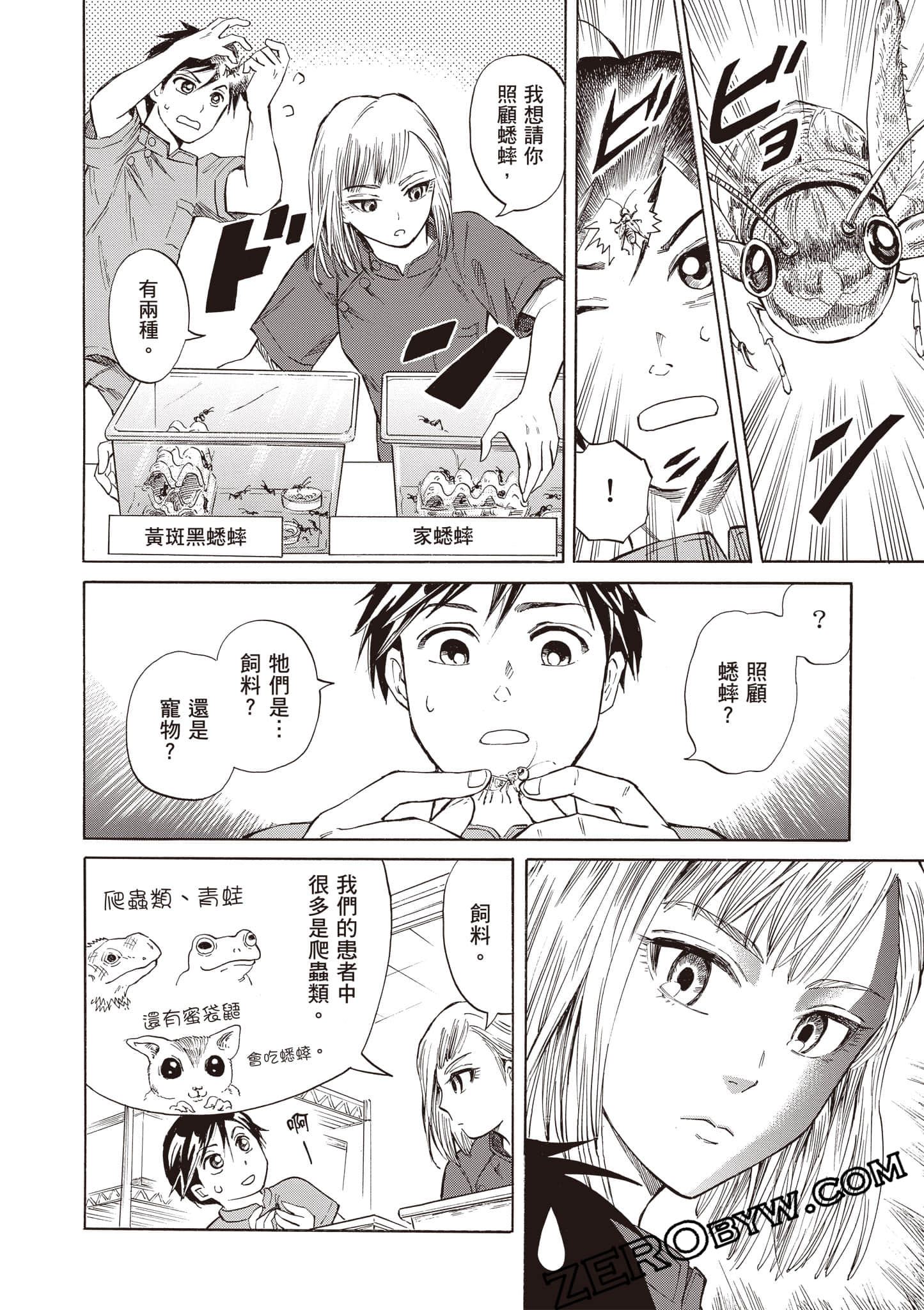 Page 54