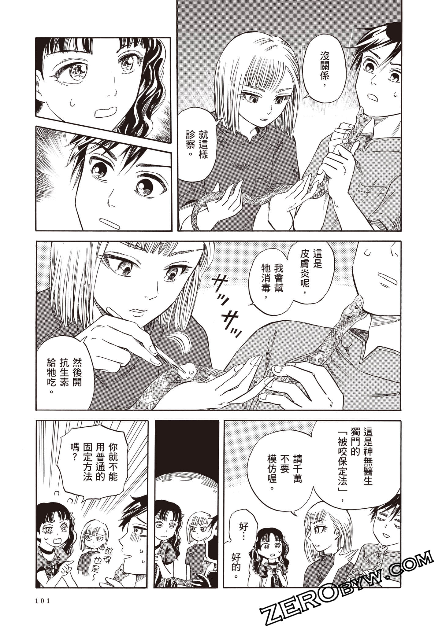 Page 101