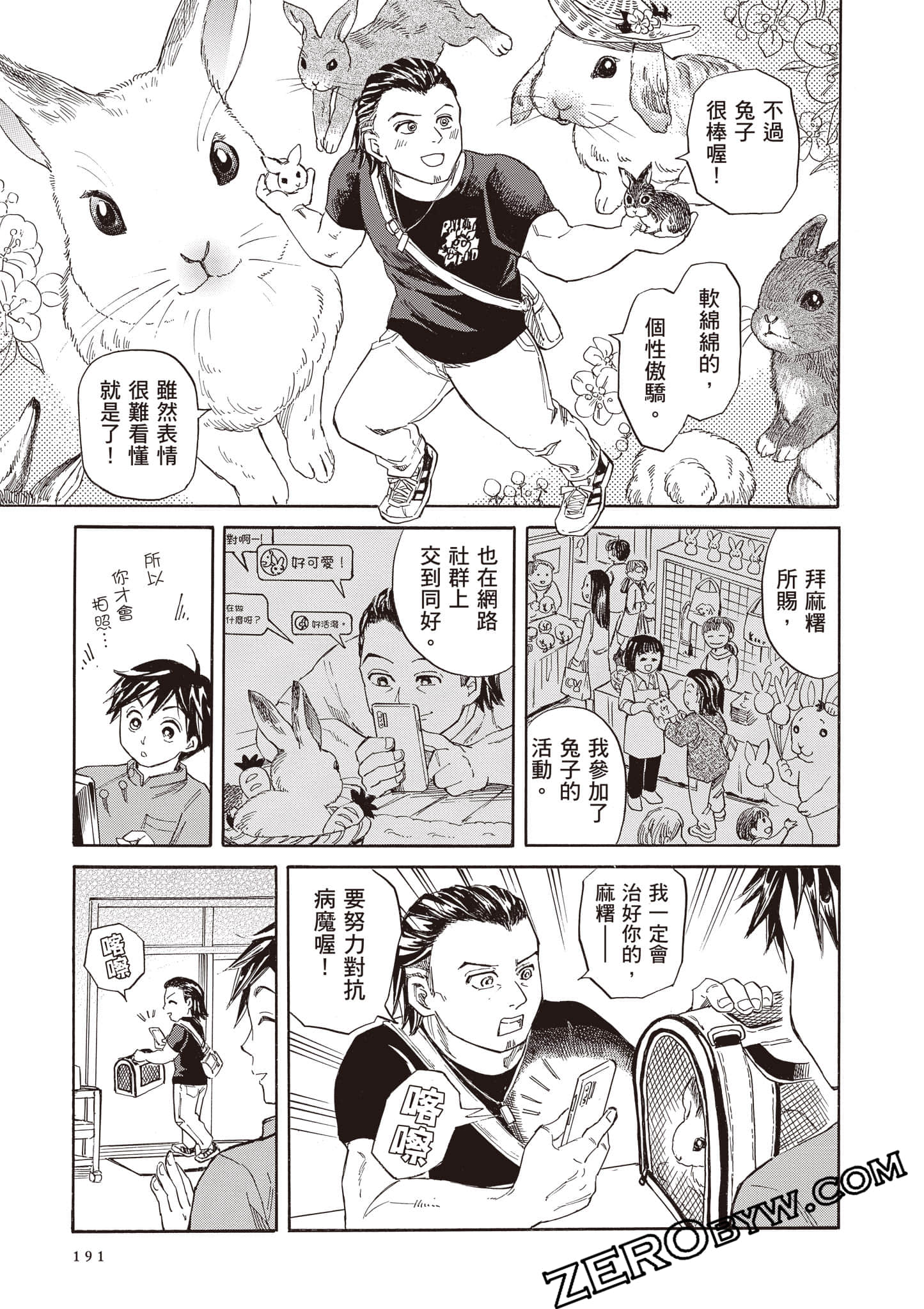 Page 191