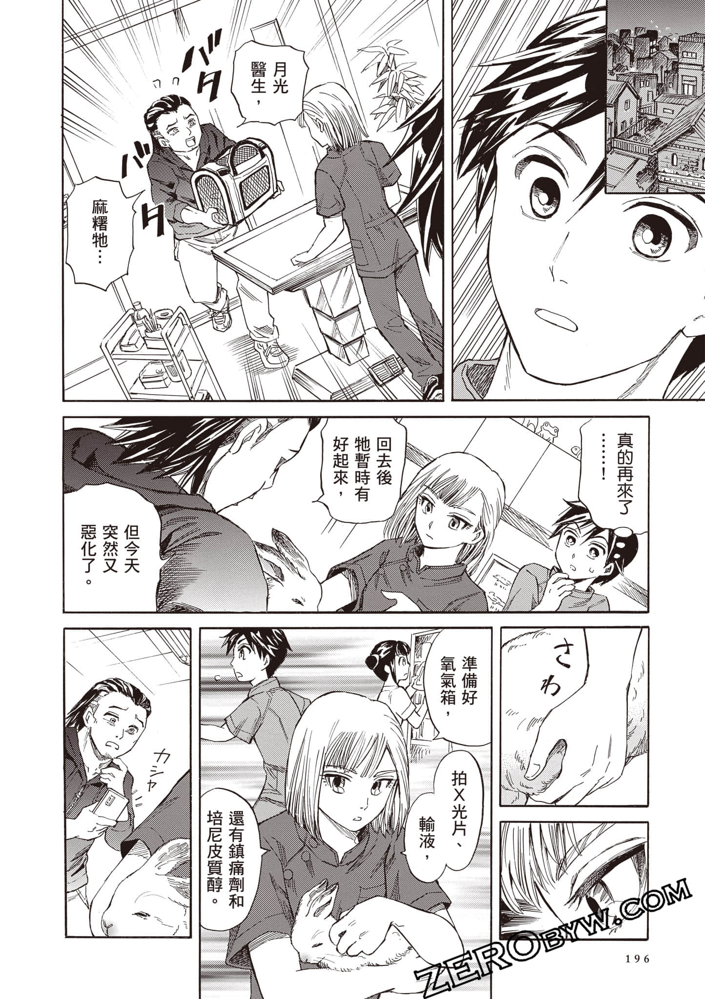 Page 196