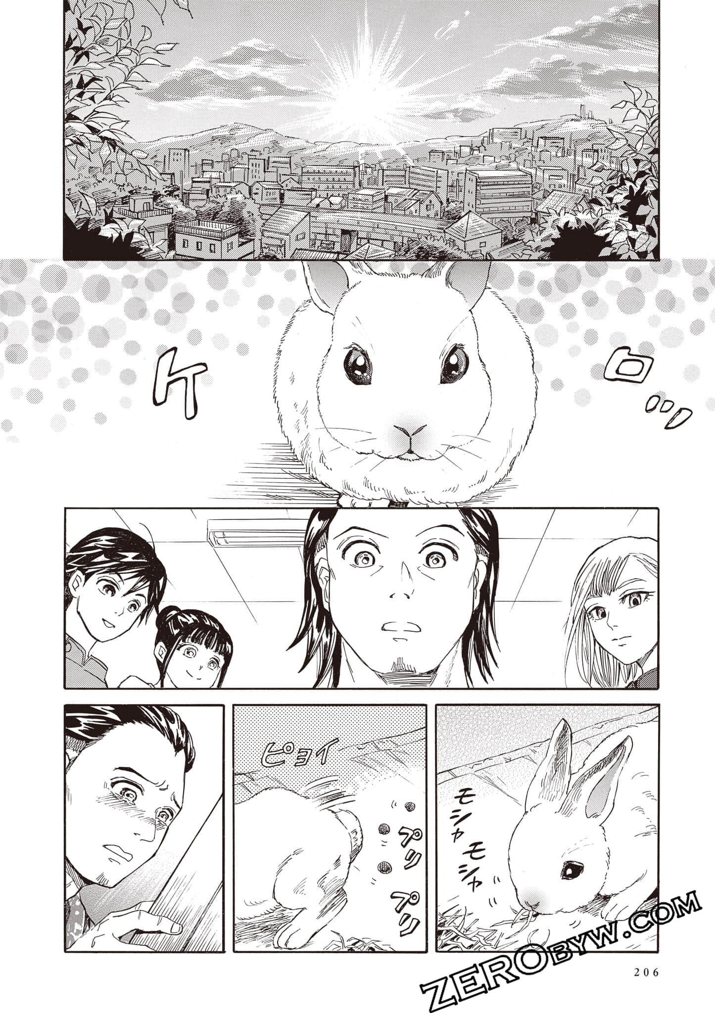 Page 206