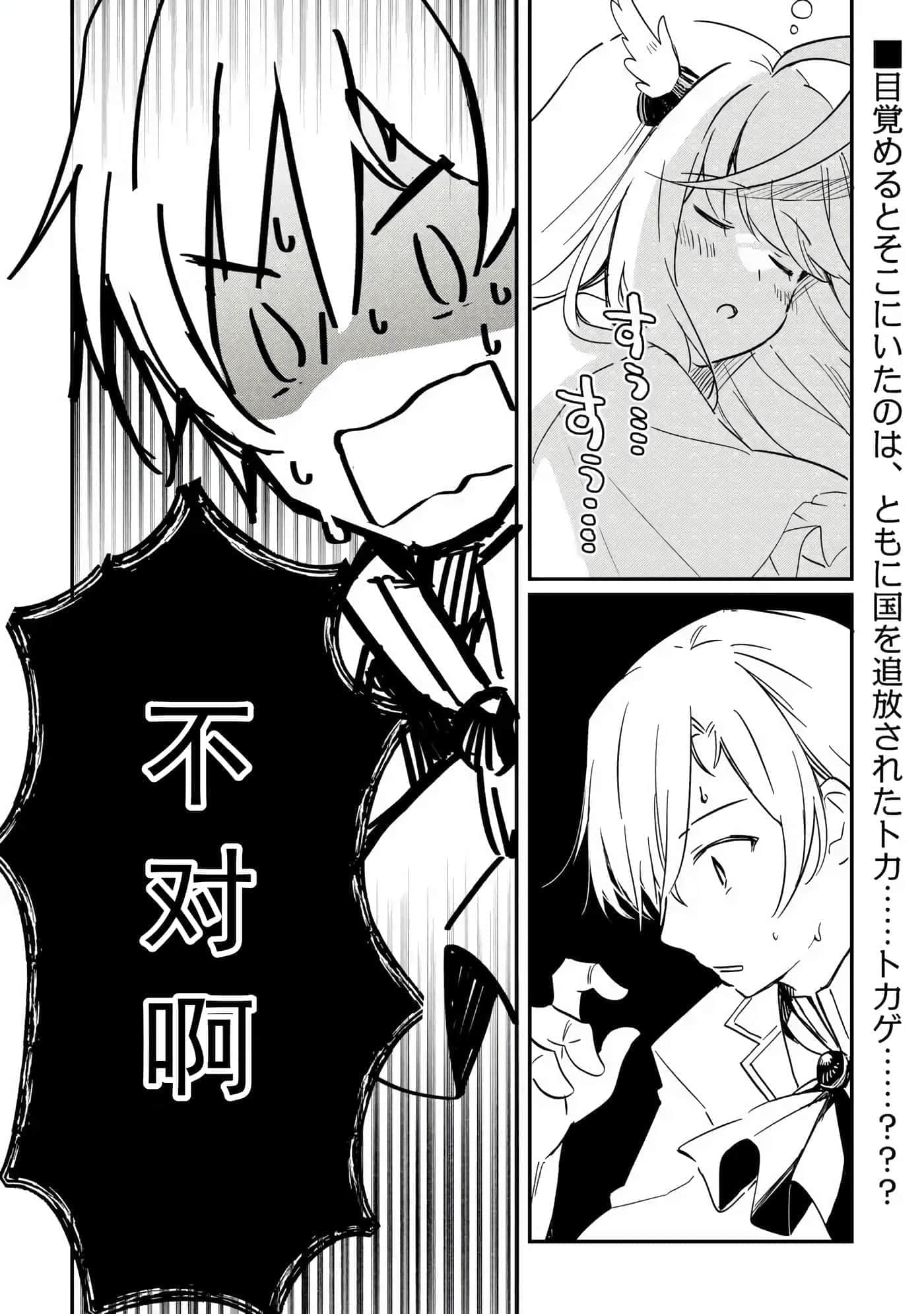 第 46 页