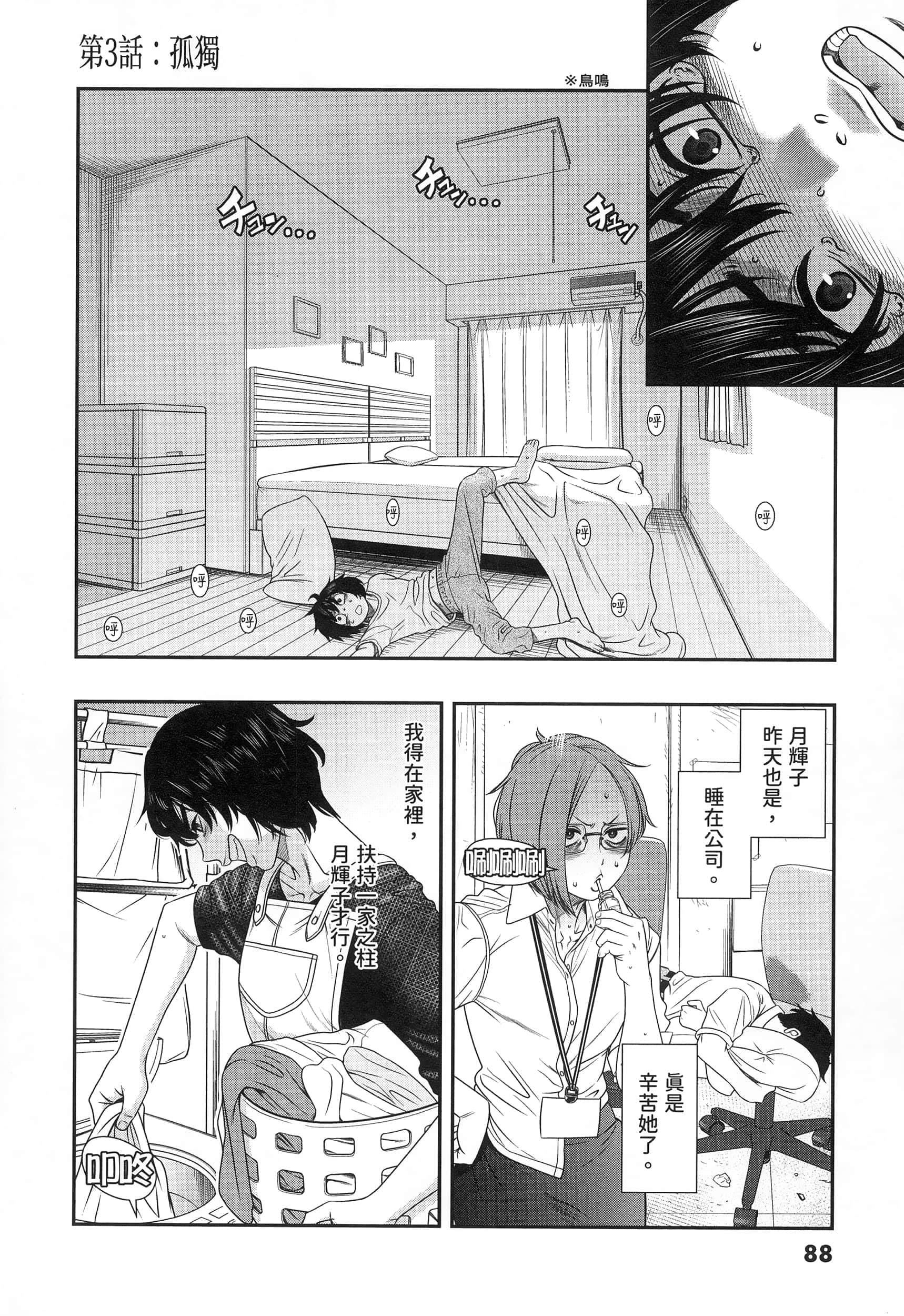 第 88 页