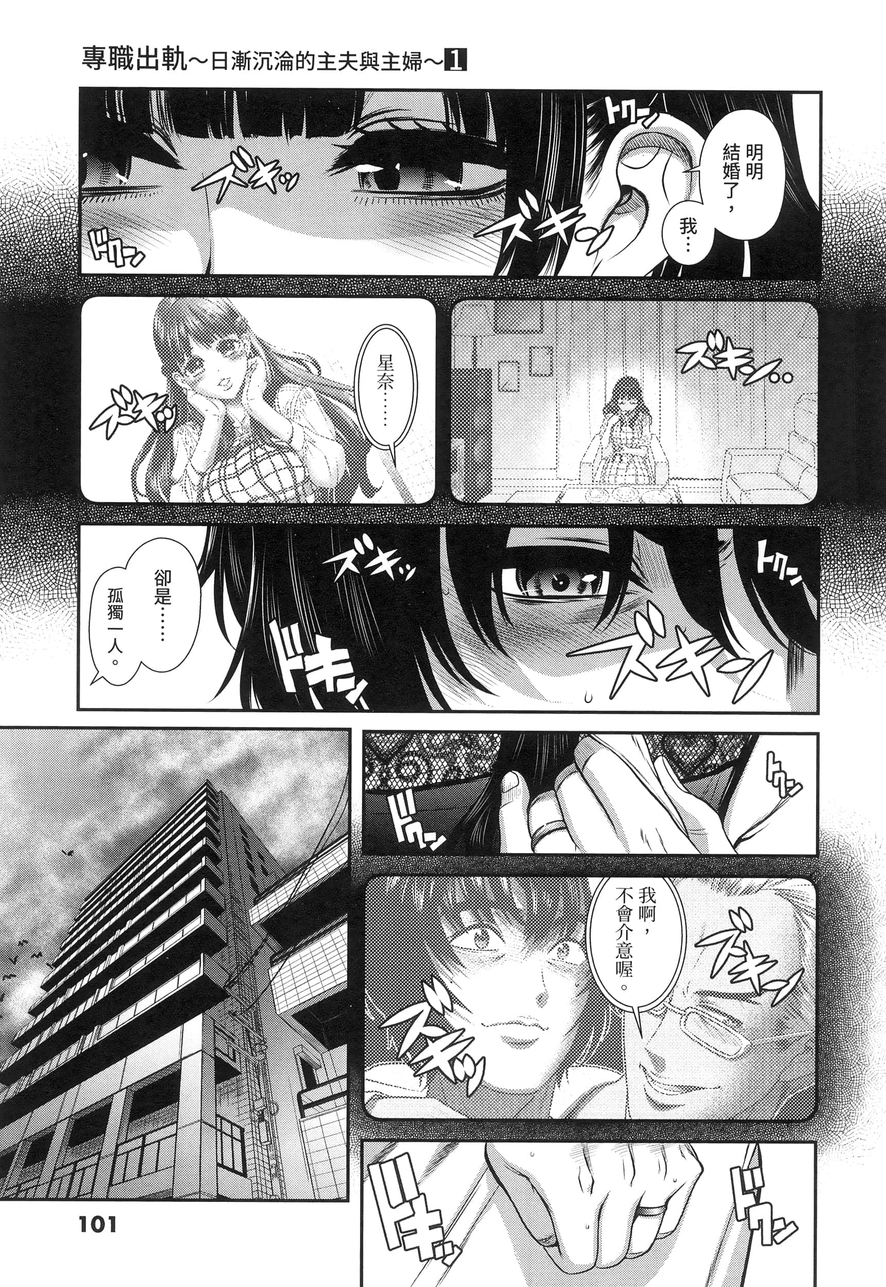 第 101 页