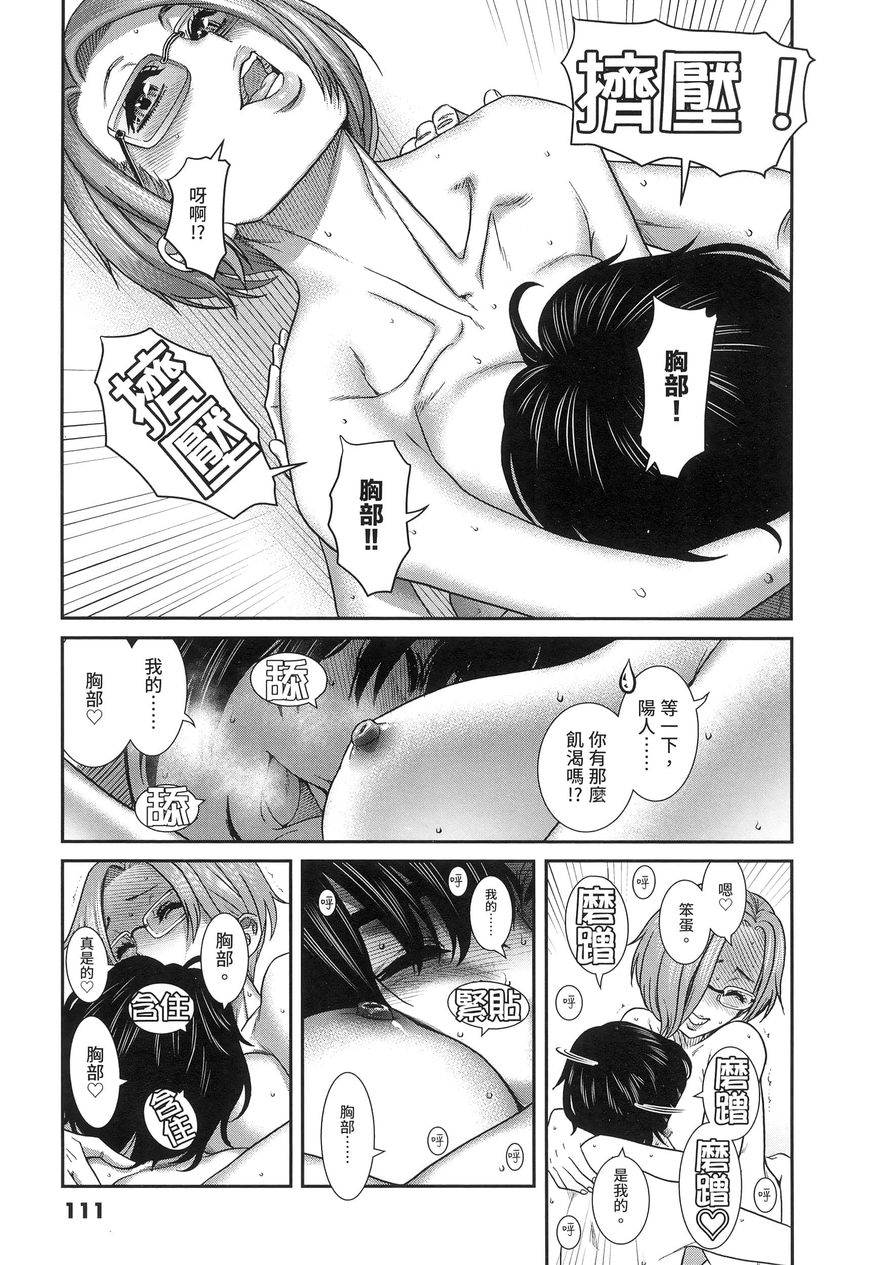 第 111 页