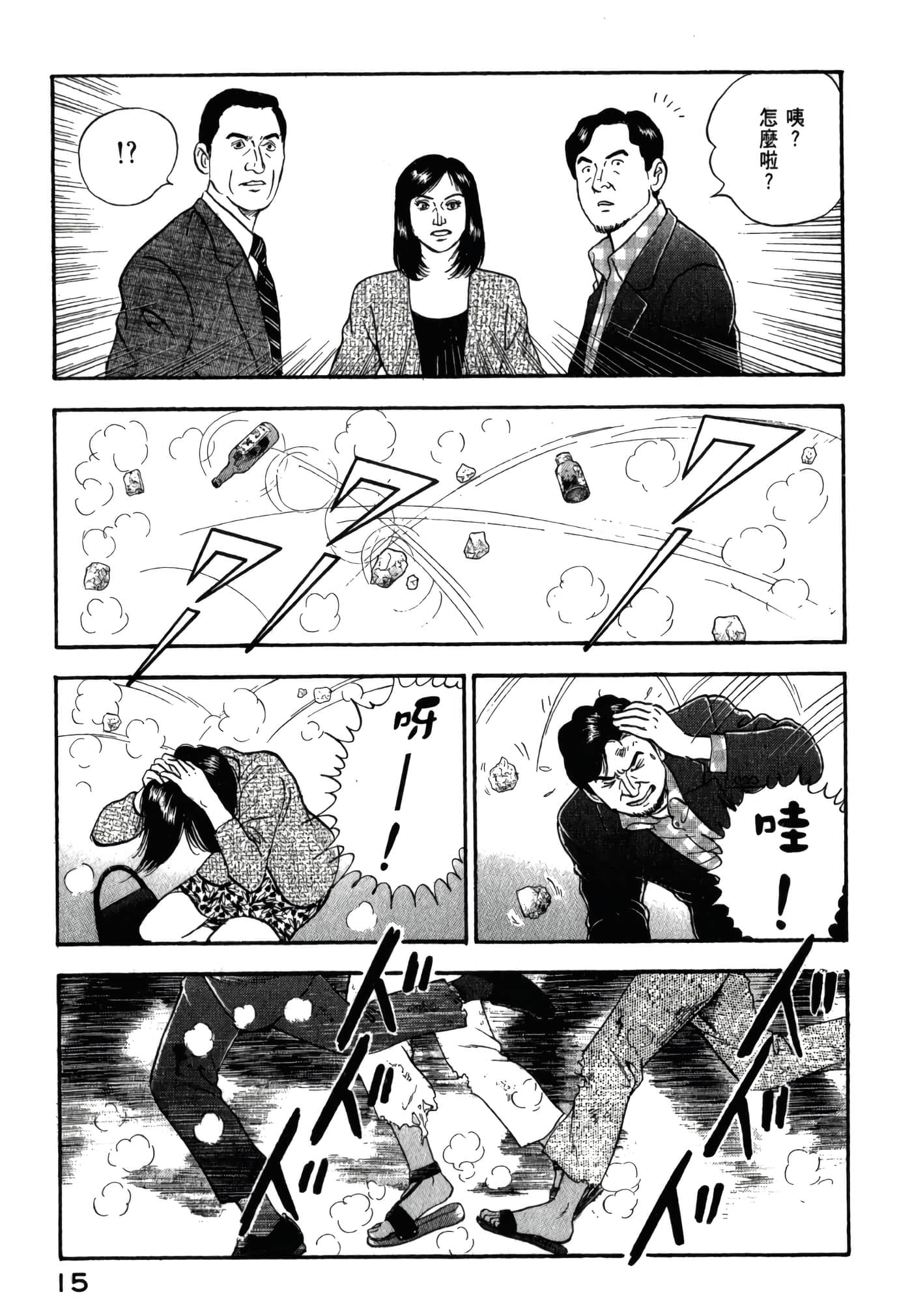 第 17 页