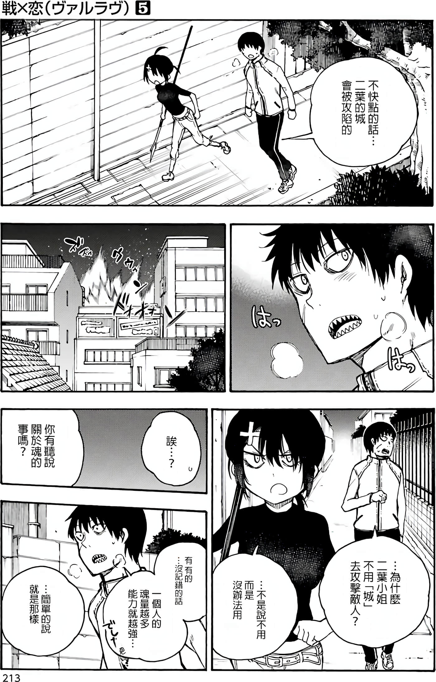 Page 213