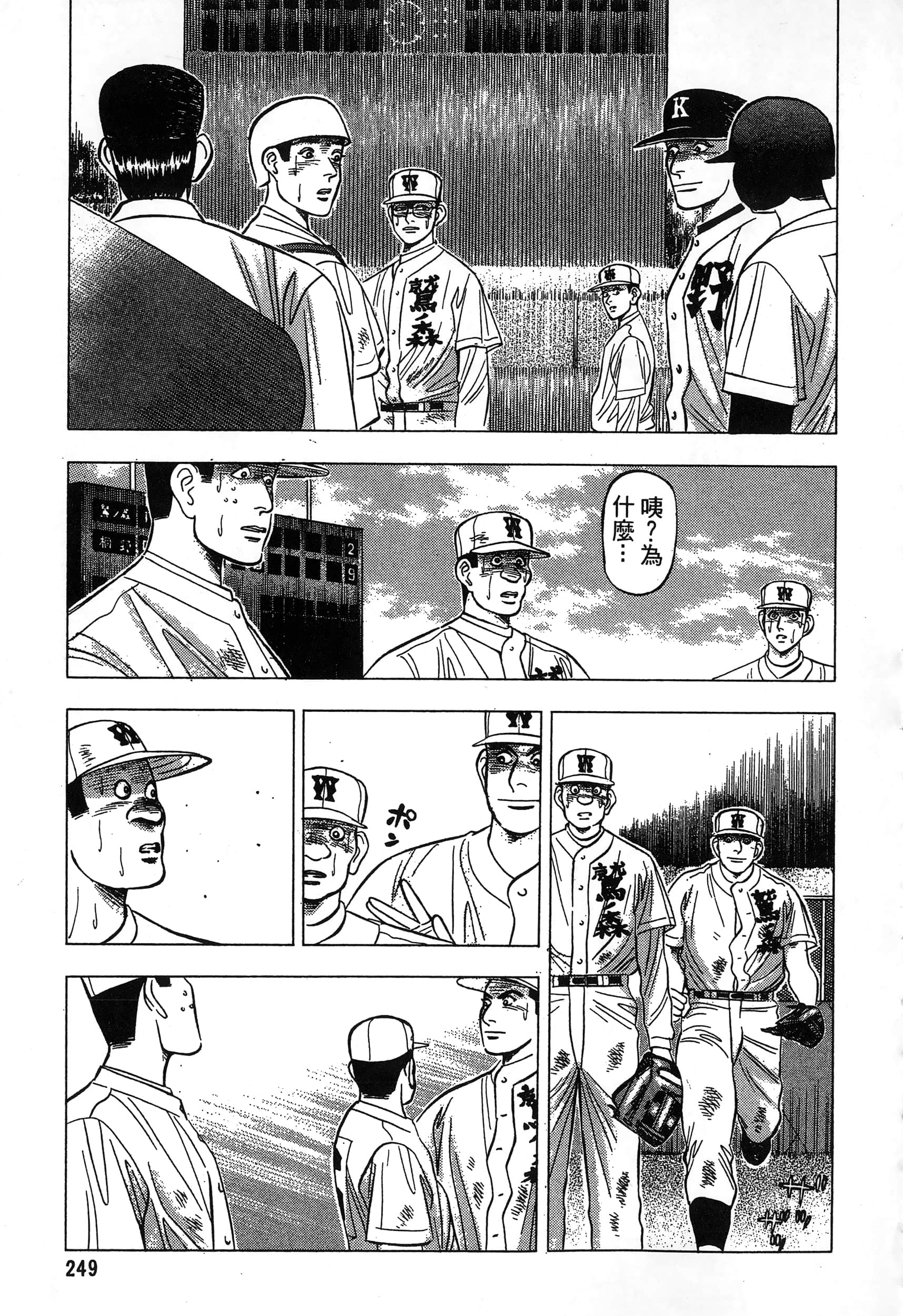 第 250 页