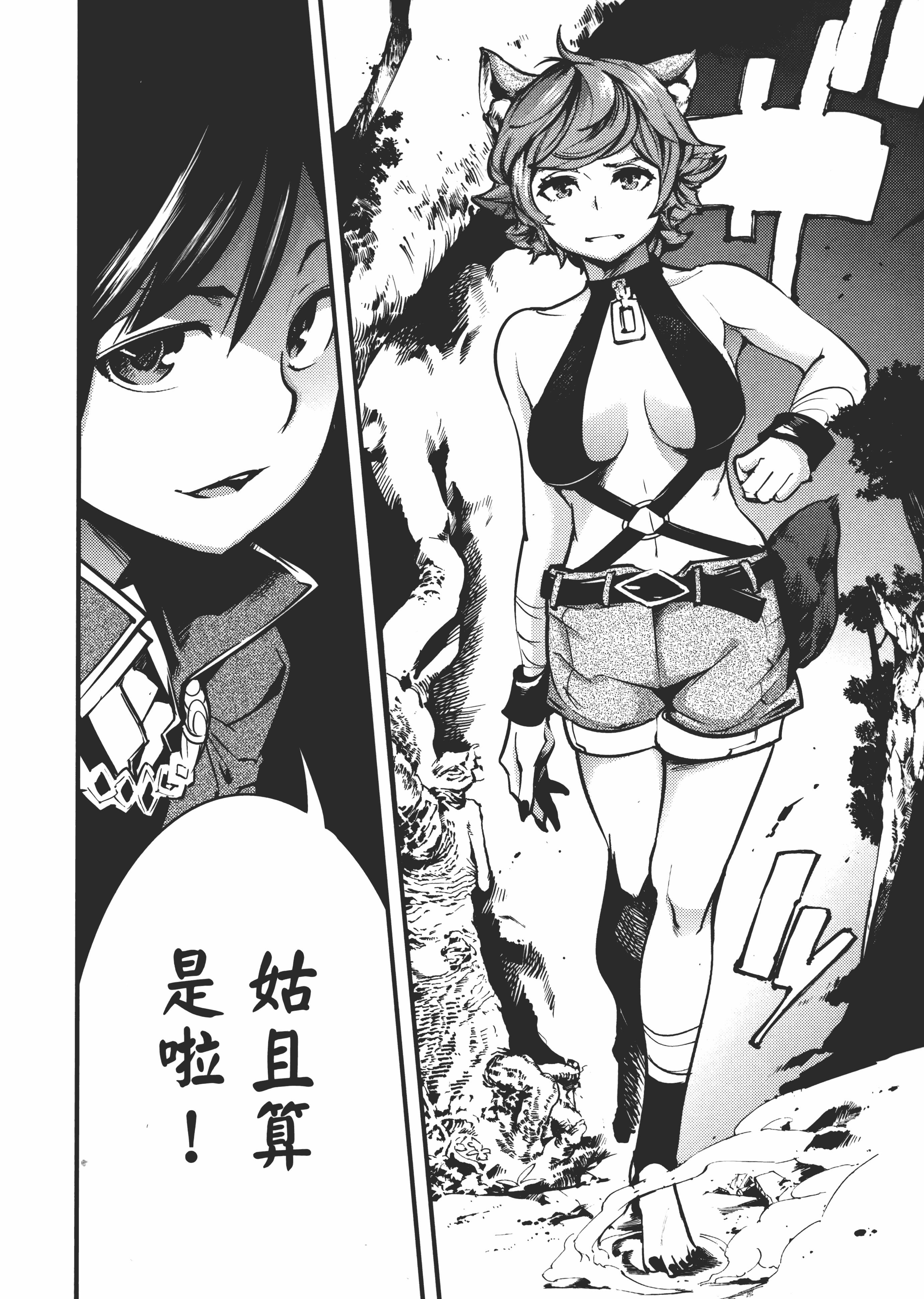第 102 页