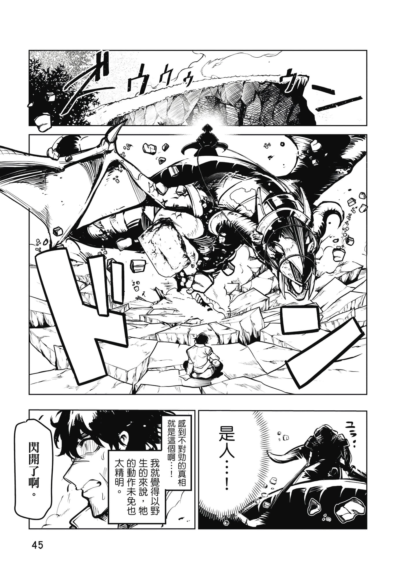 第 46 页
