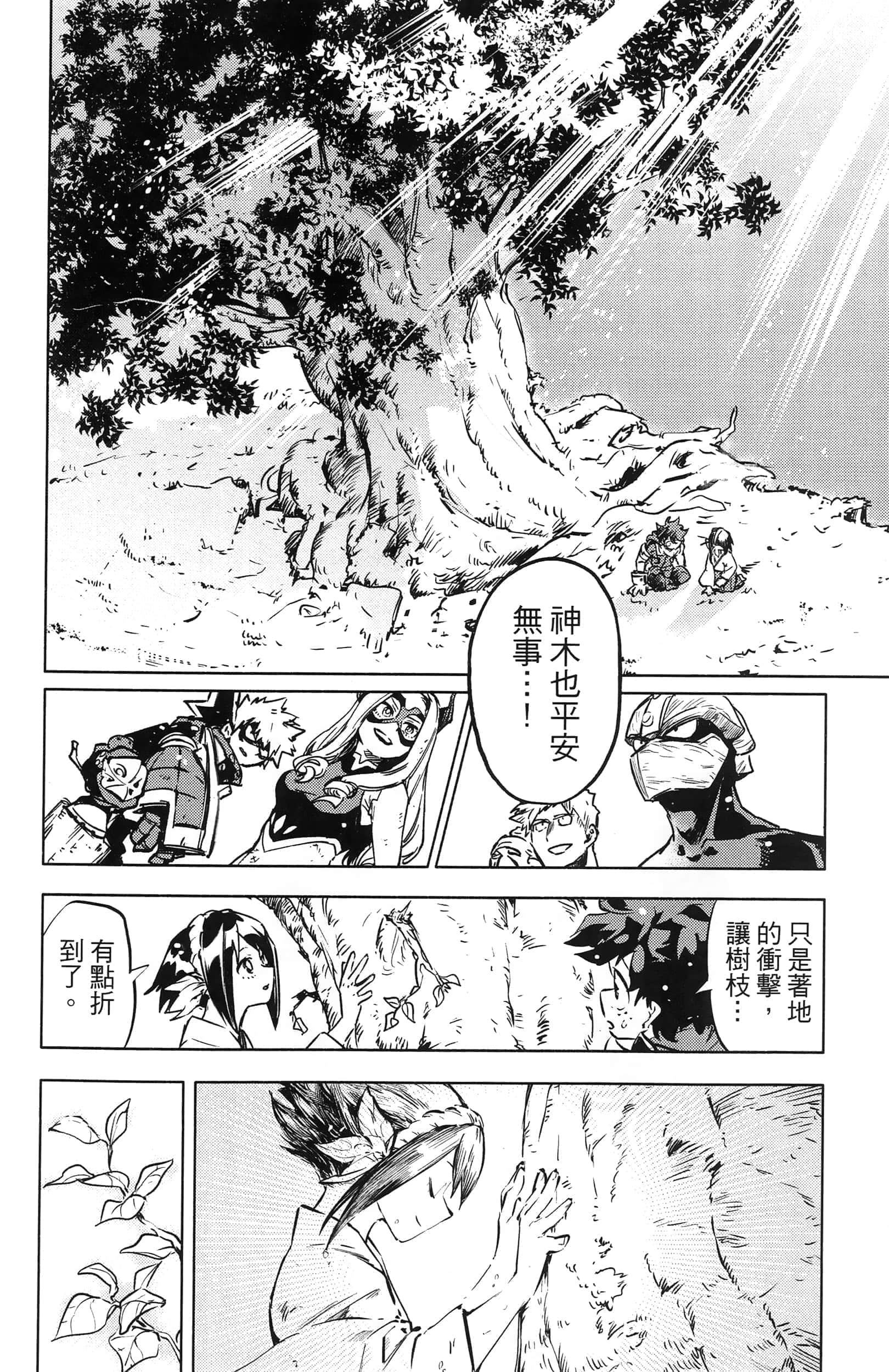 第 74 页