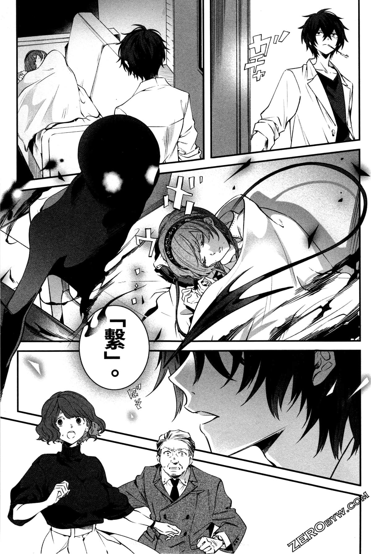 Page 101