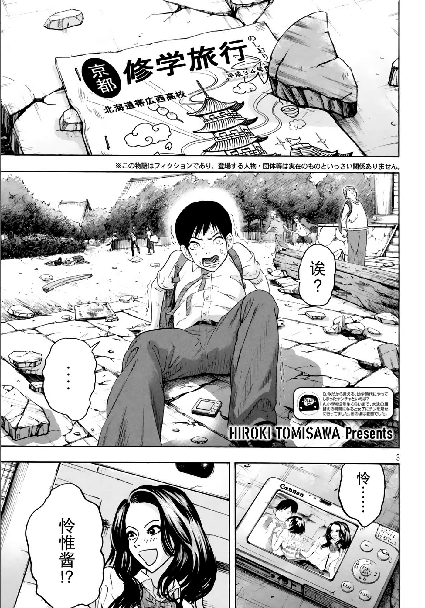 Page 3