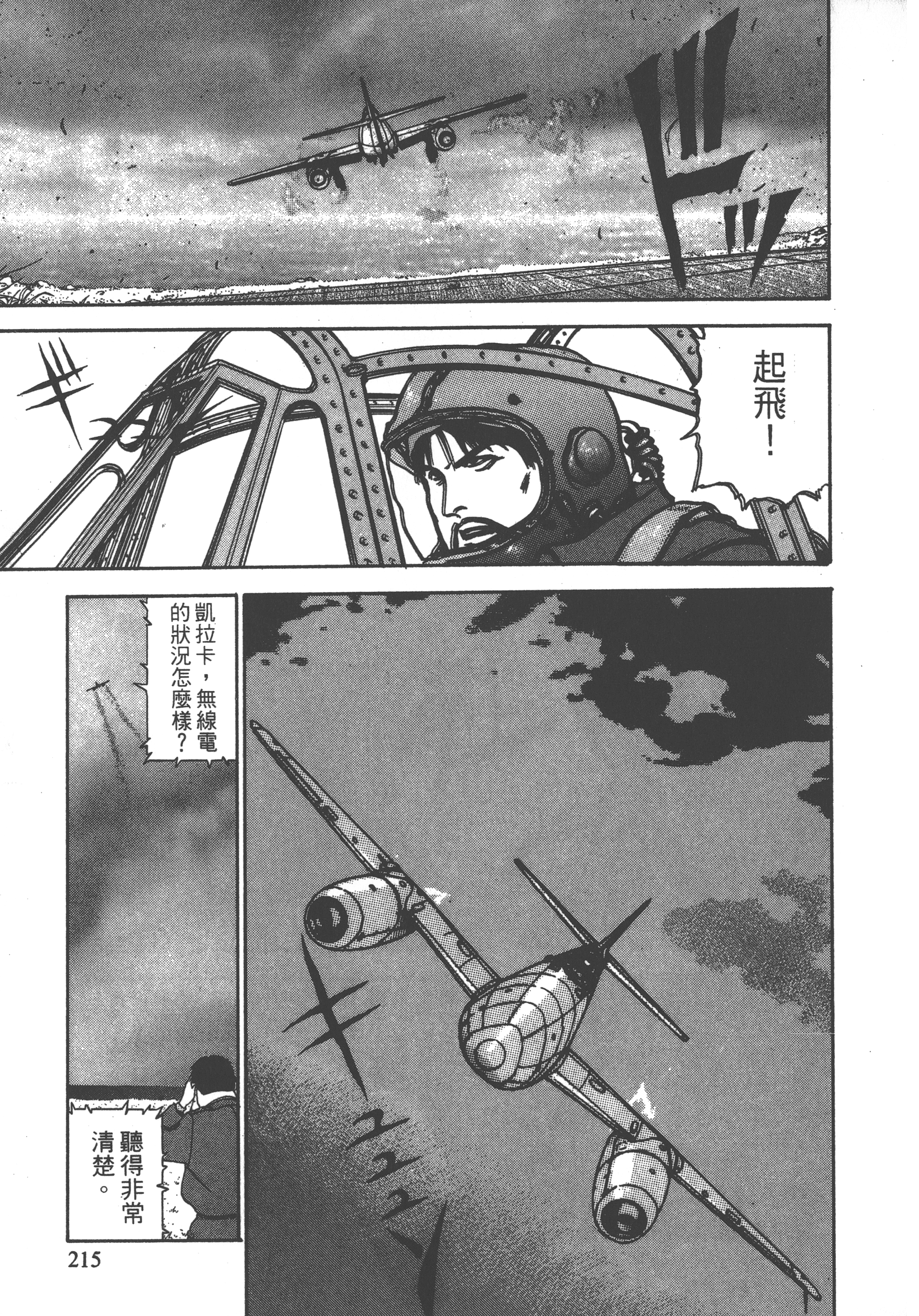 Page 217