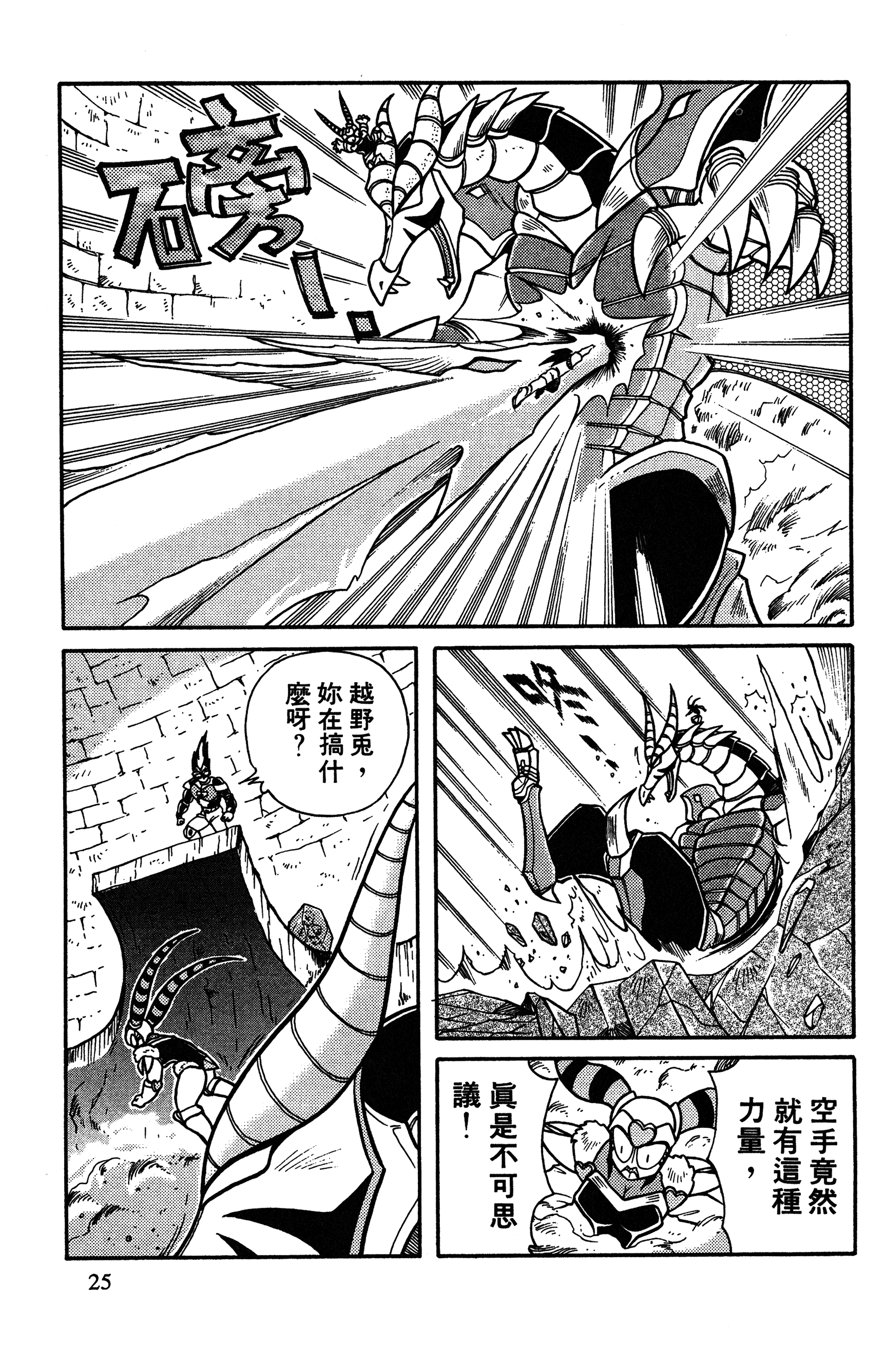Page 25