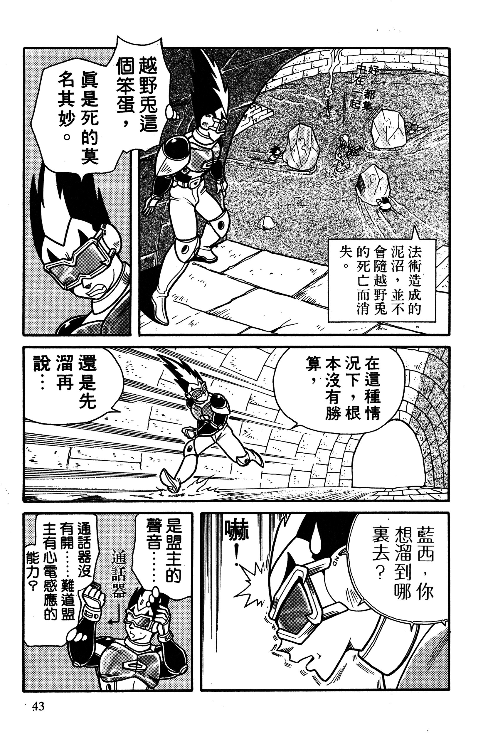 Page 43