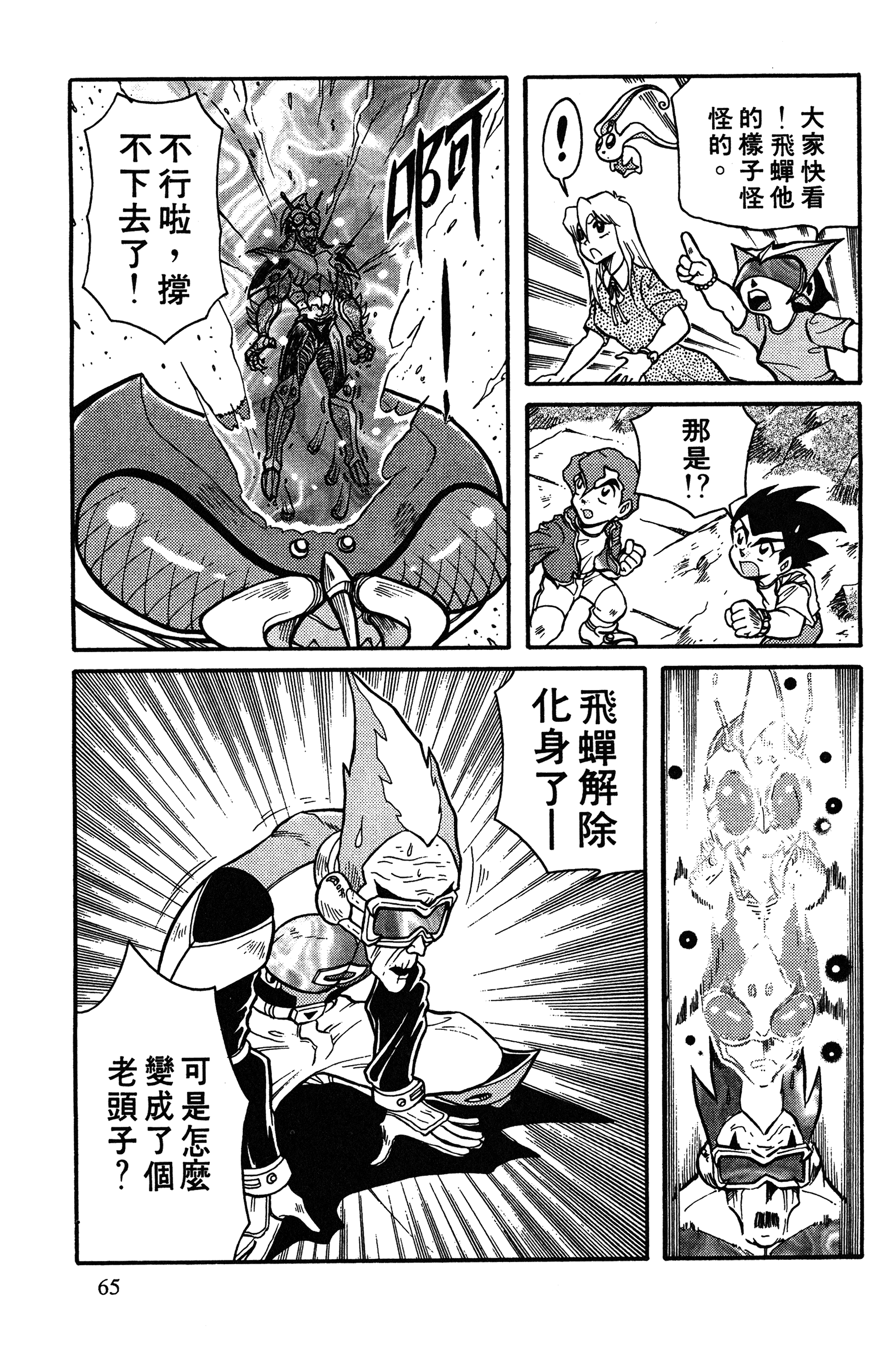 Page 65