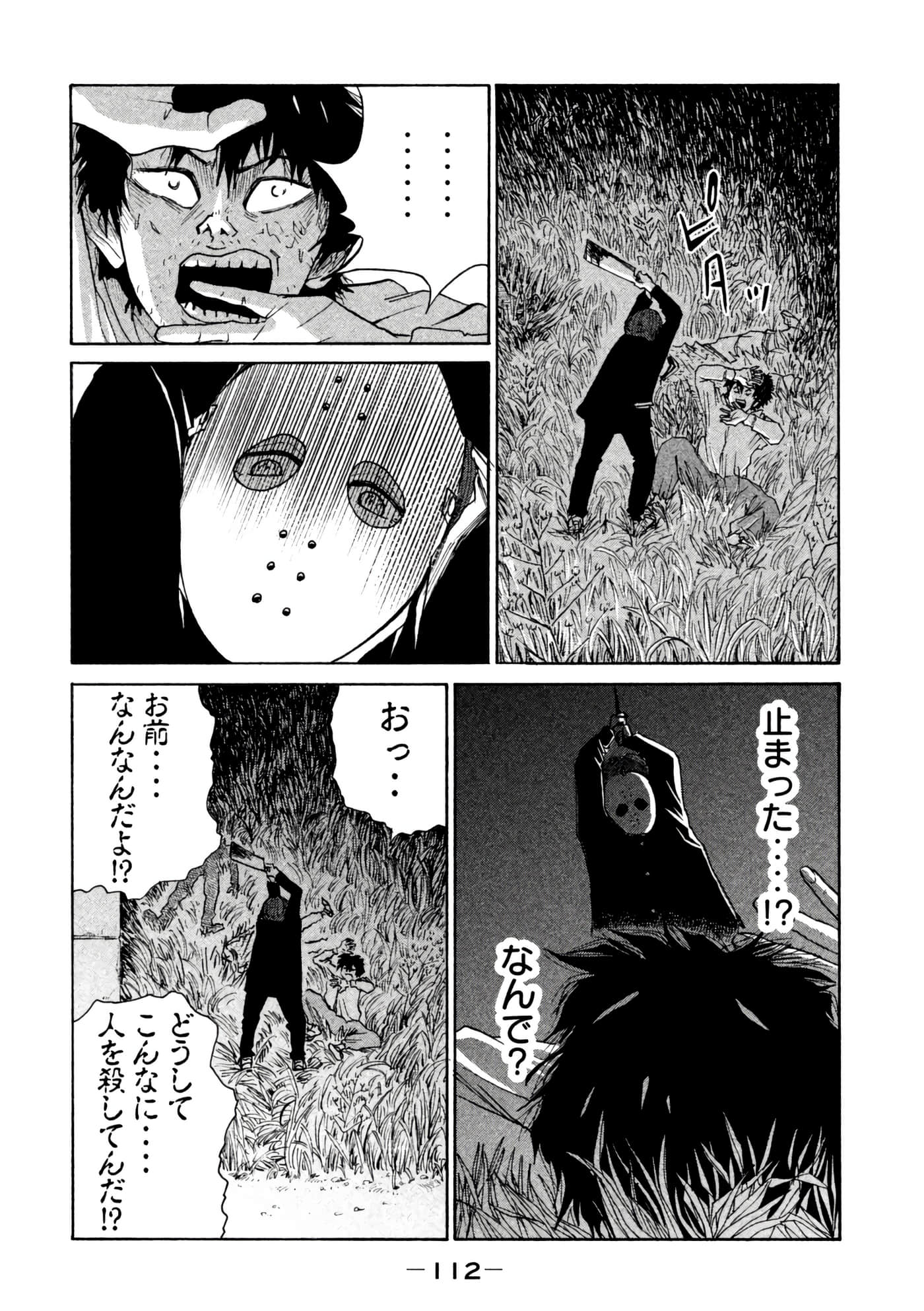 Page 113