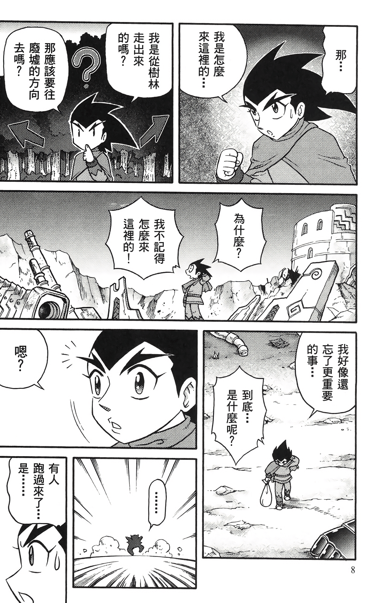 Page 8
