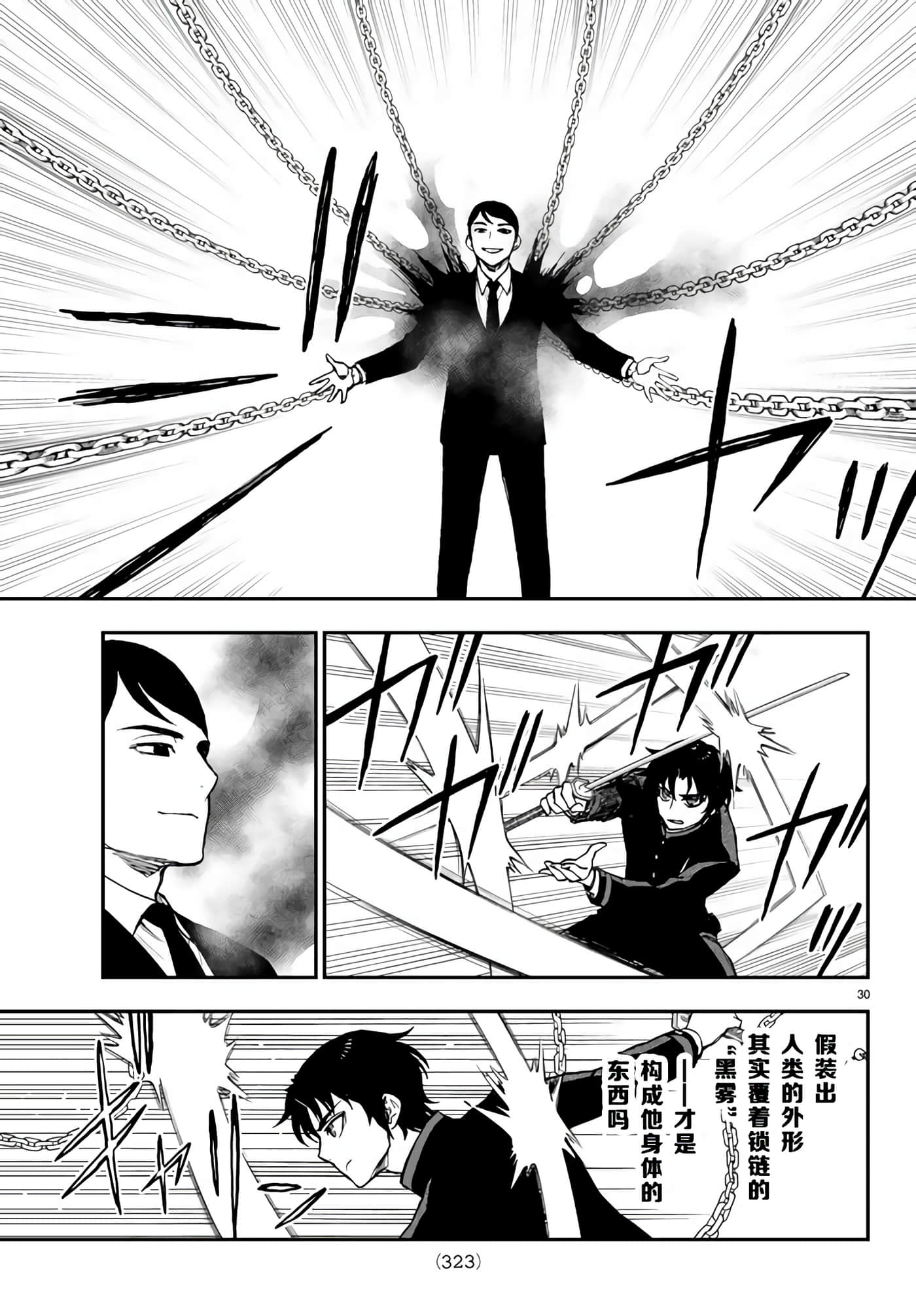 第 30 页