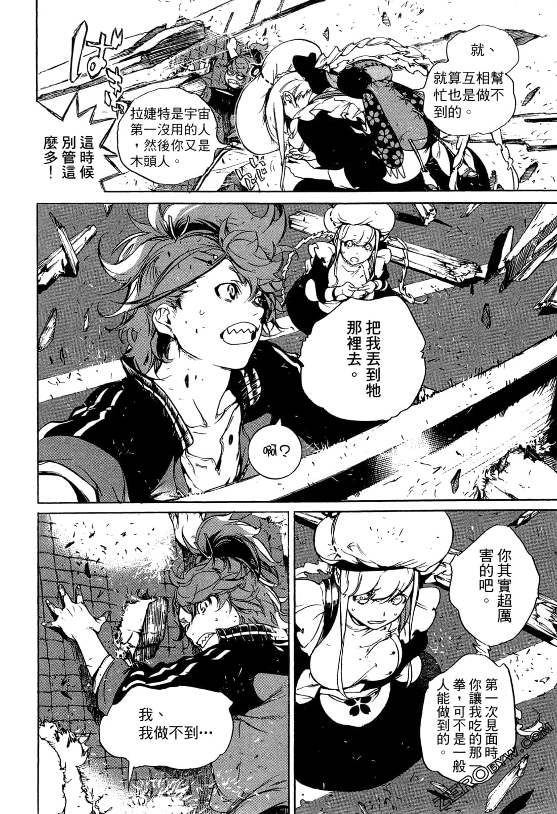Page 101
