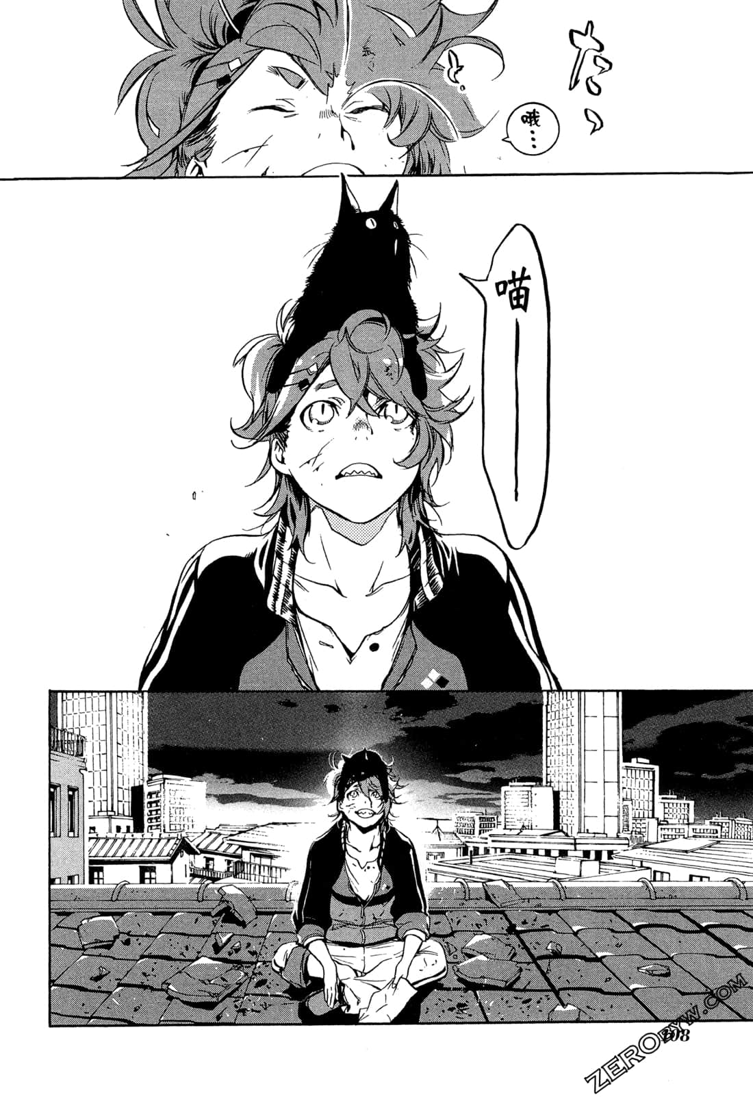 Page 111