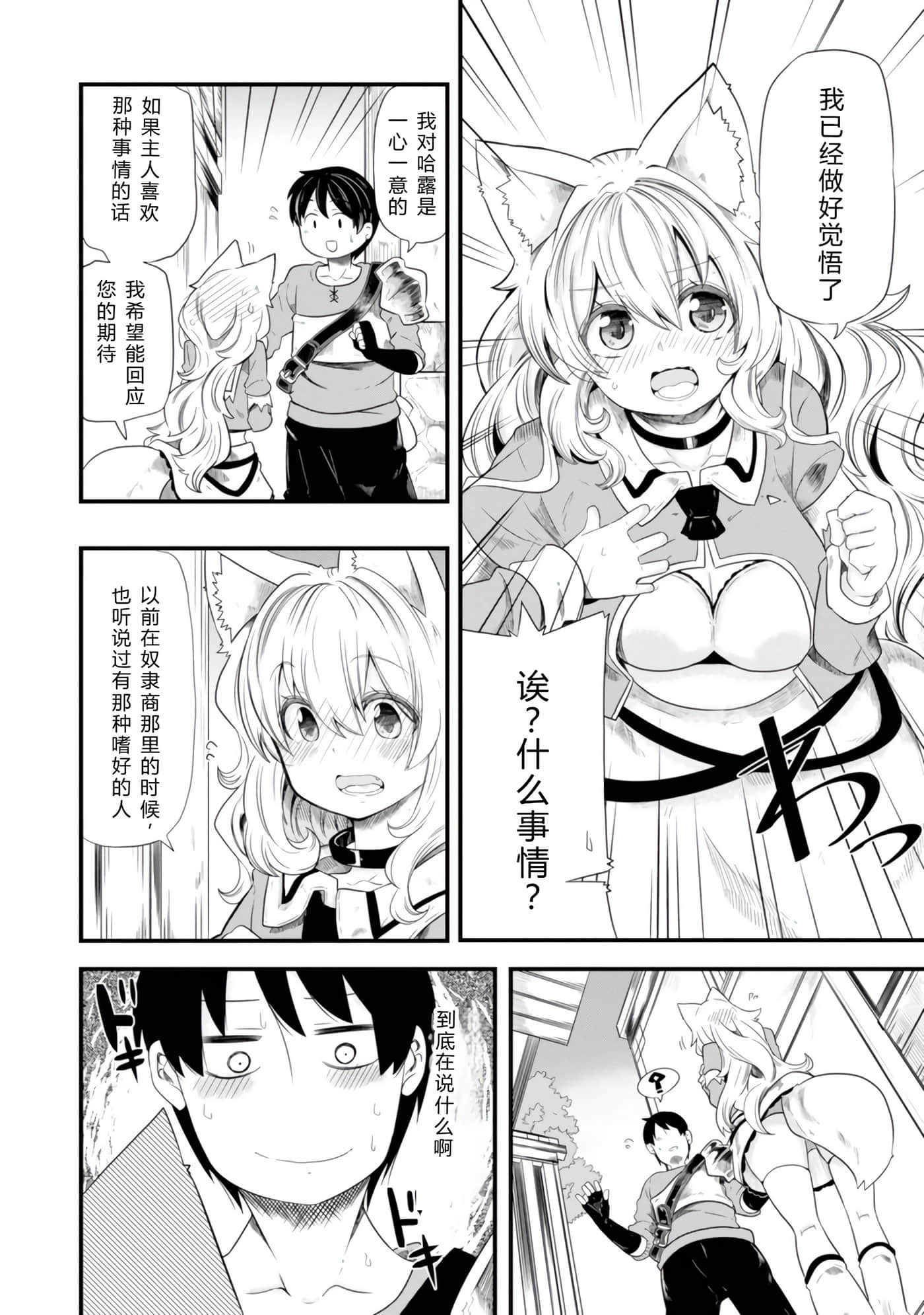 第 52 页