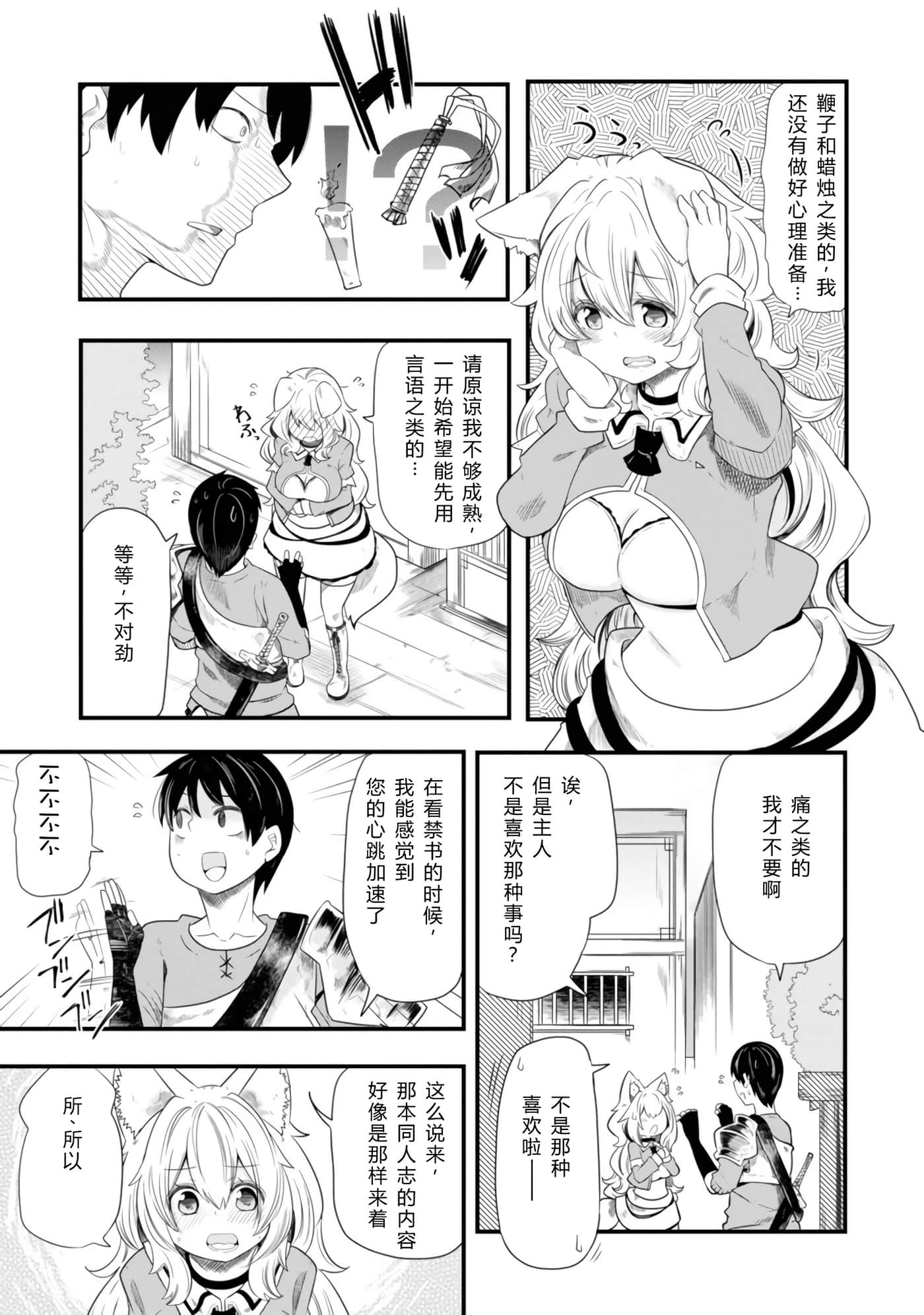 第 53 页