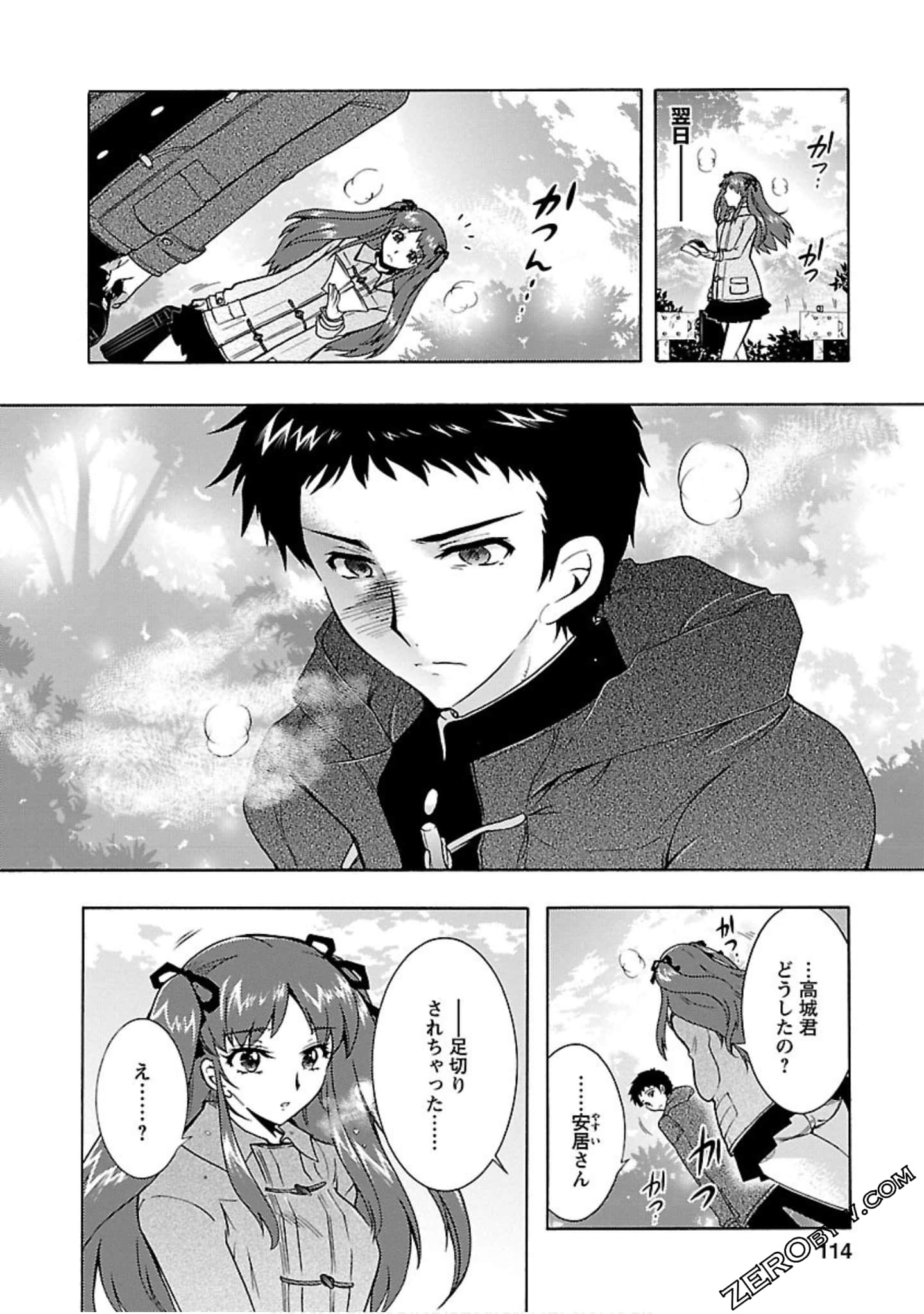 Page 113