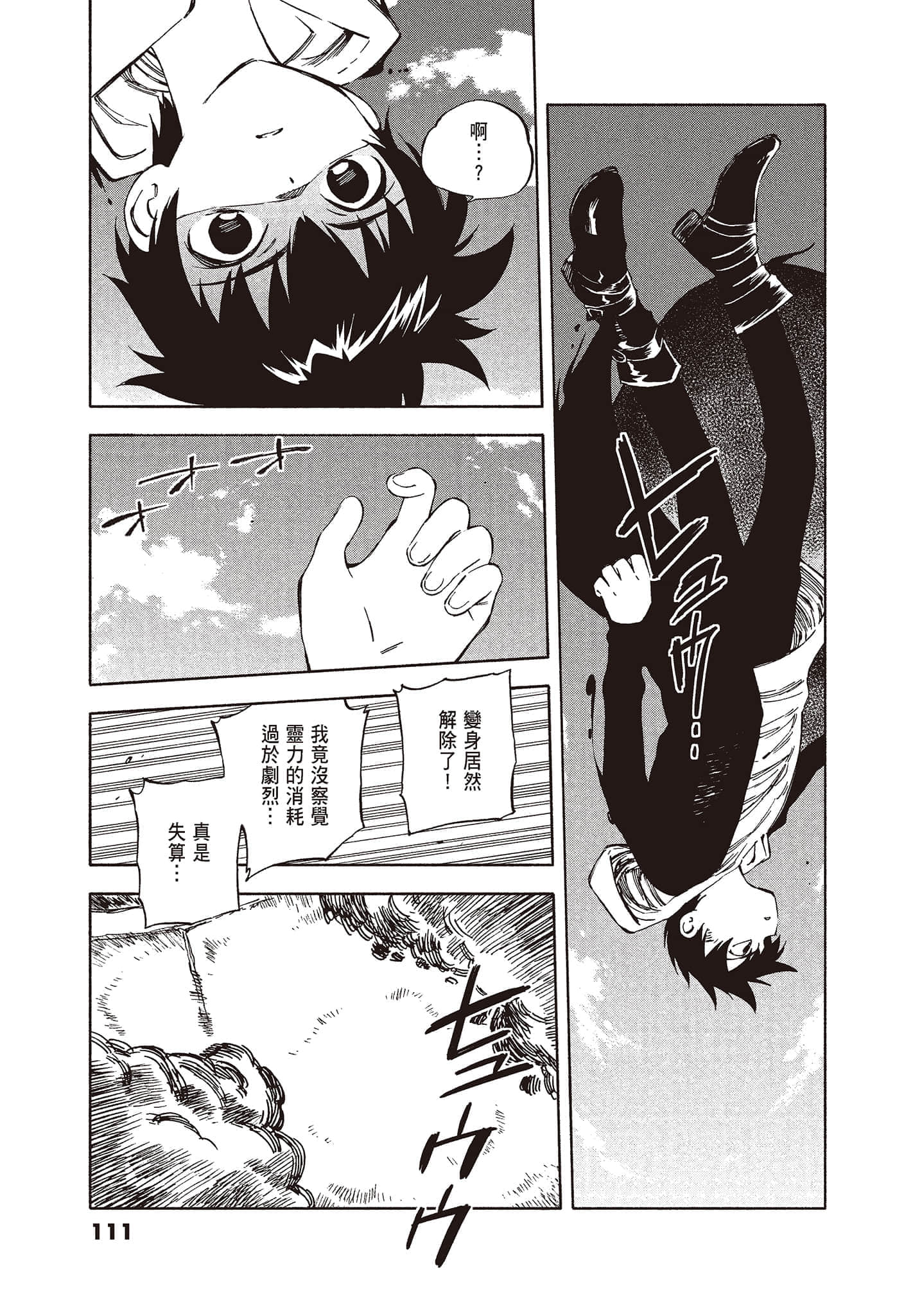 Page 113