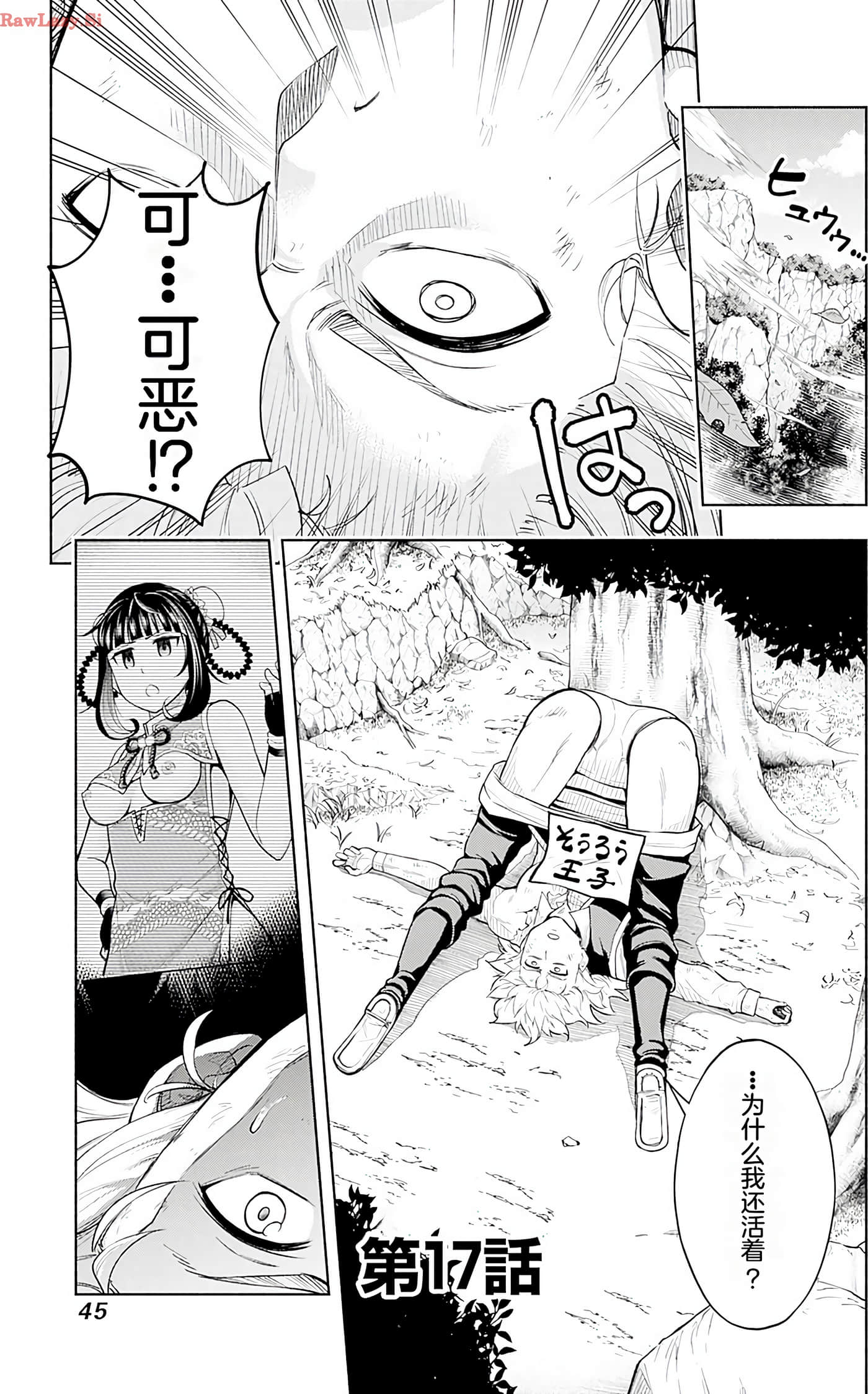 Page 45
