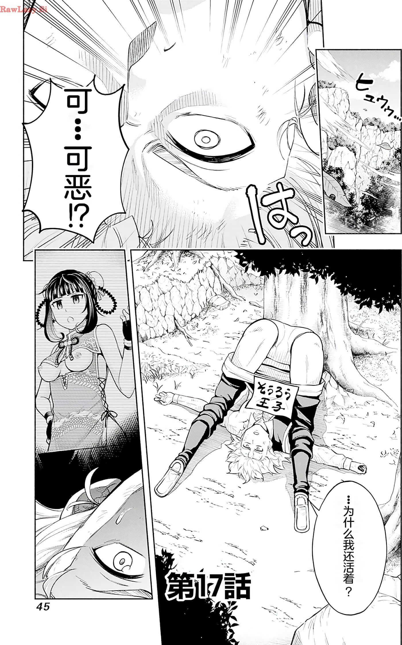 第 45 页