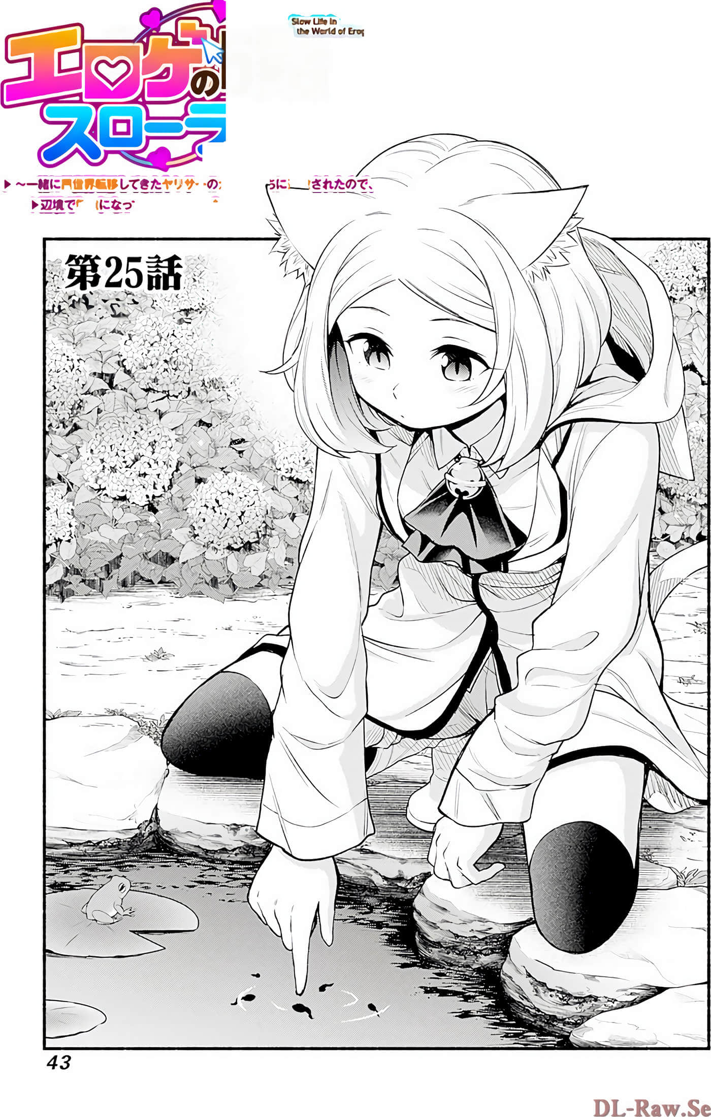 第 43 页