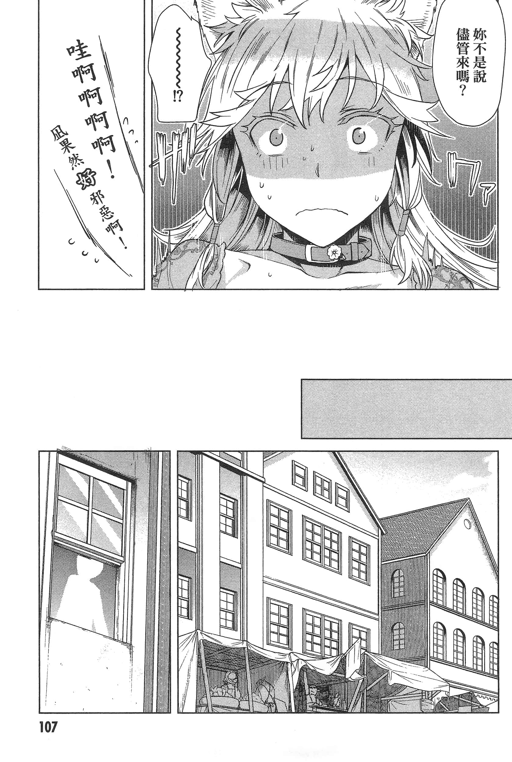 第 113 页