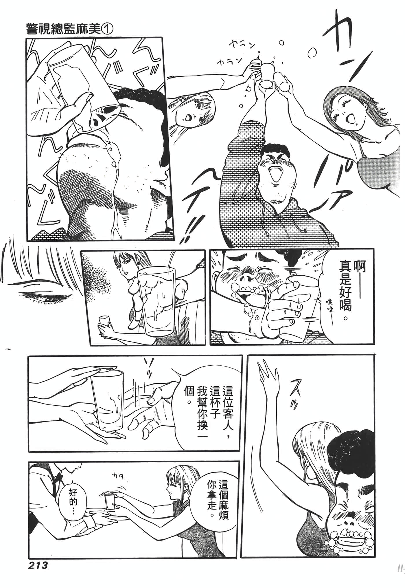 Page 213