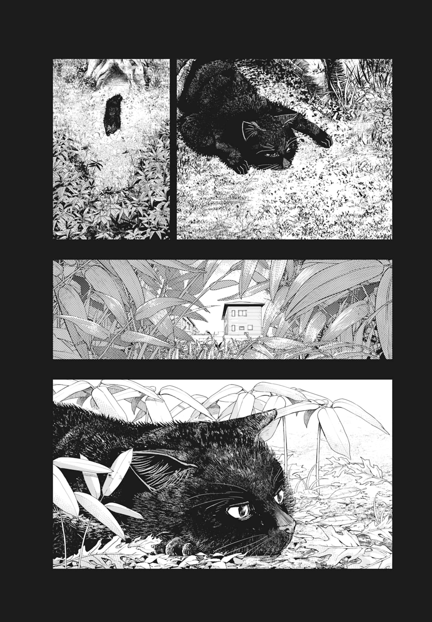 Page 186
