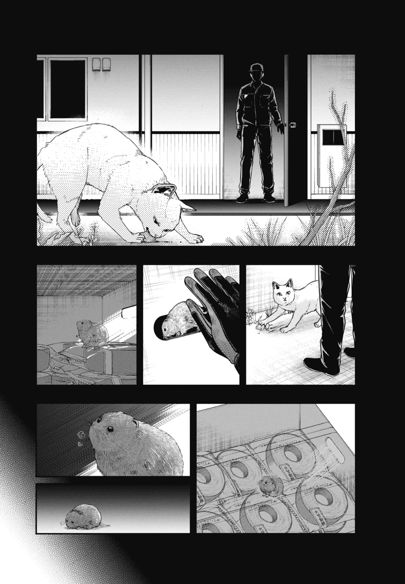 Page 35