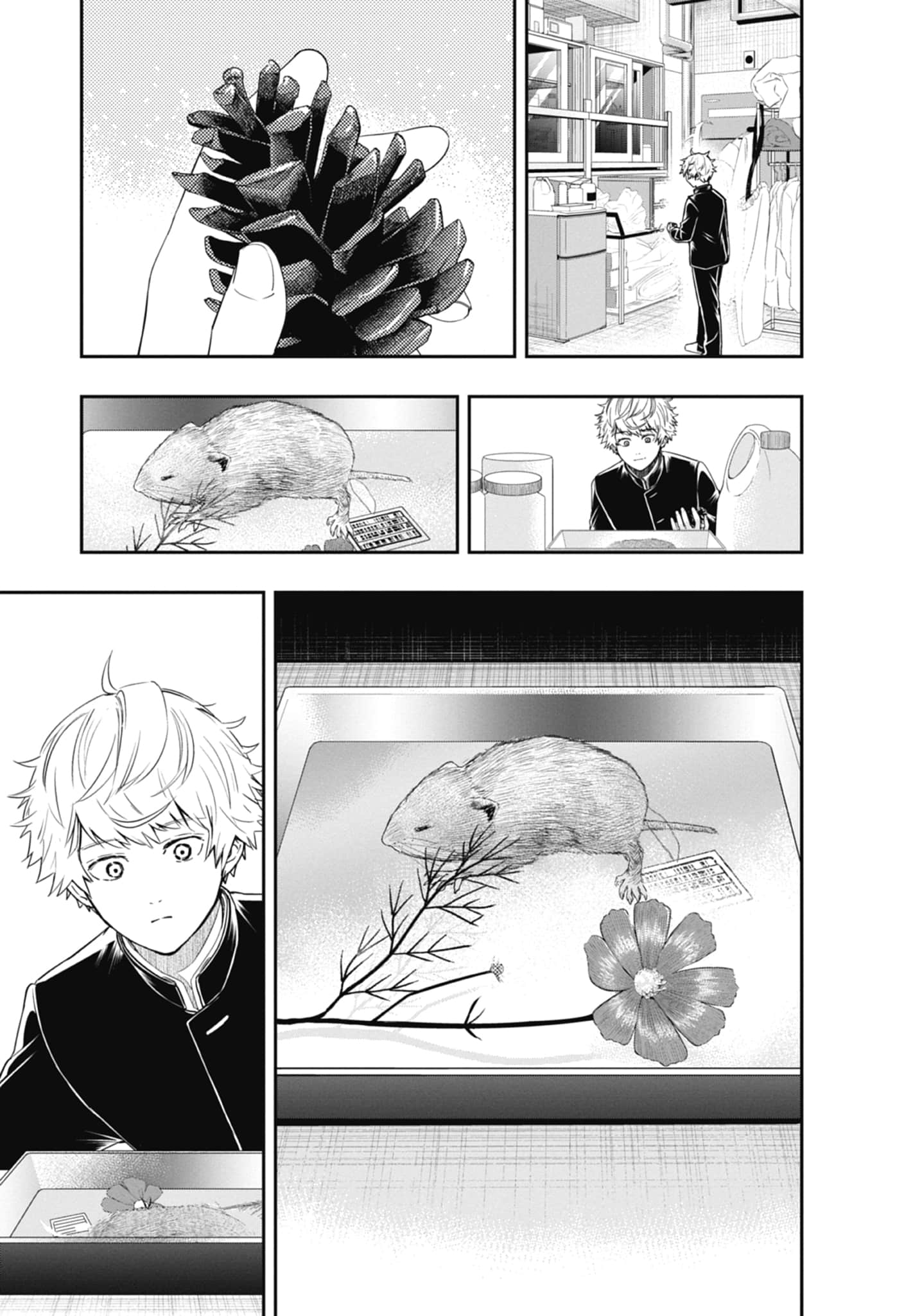 Page 55