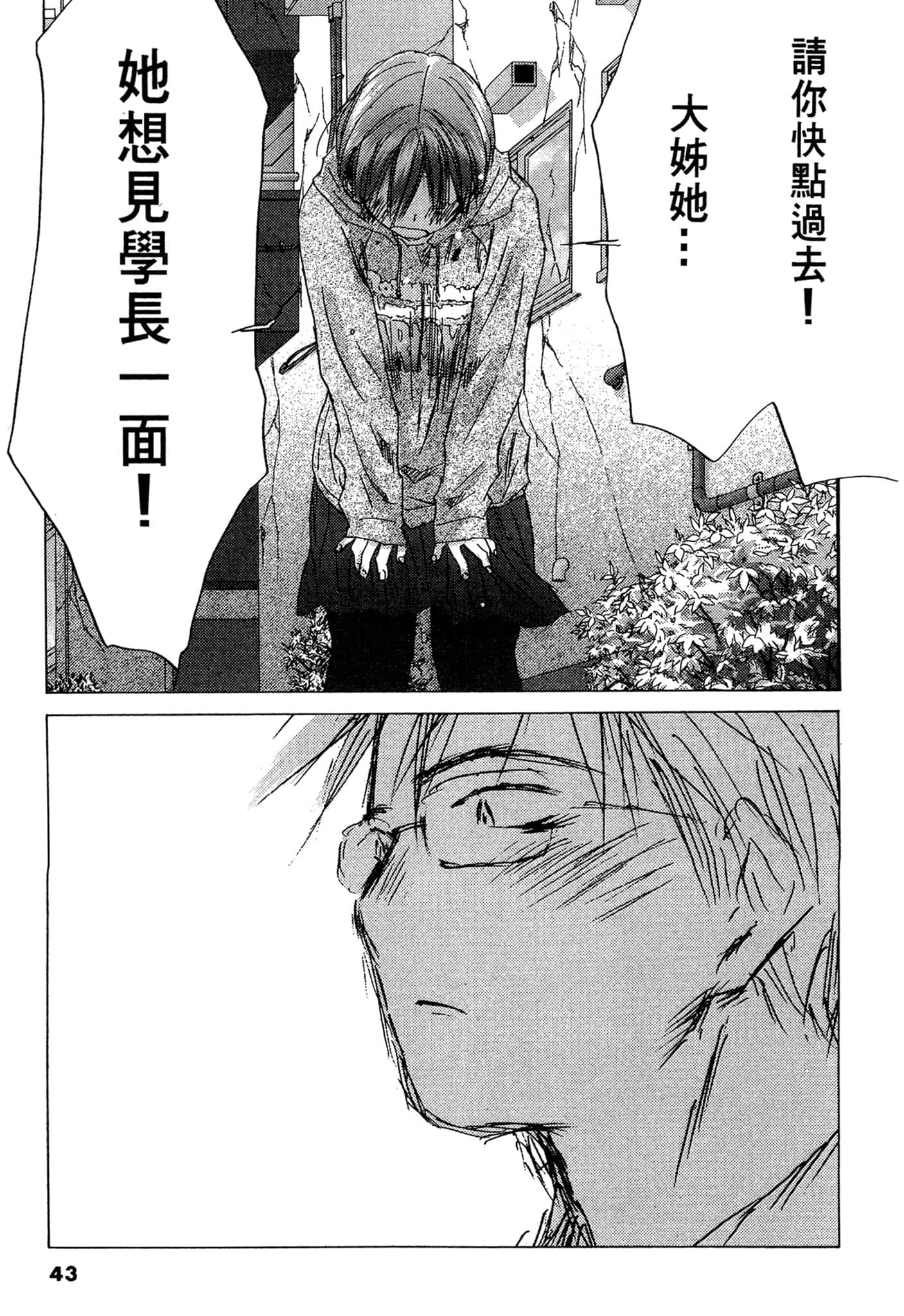Page 43
