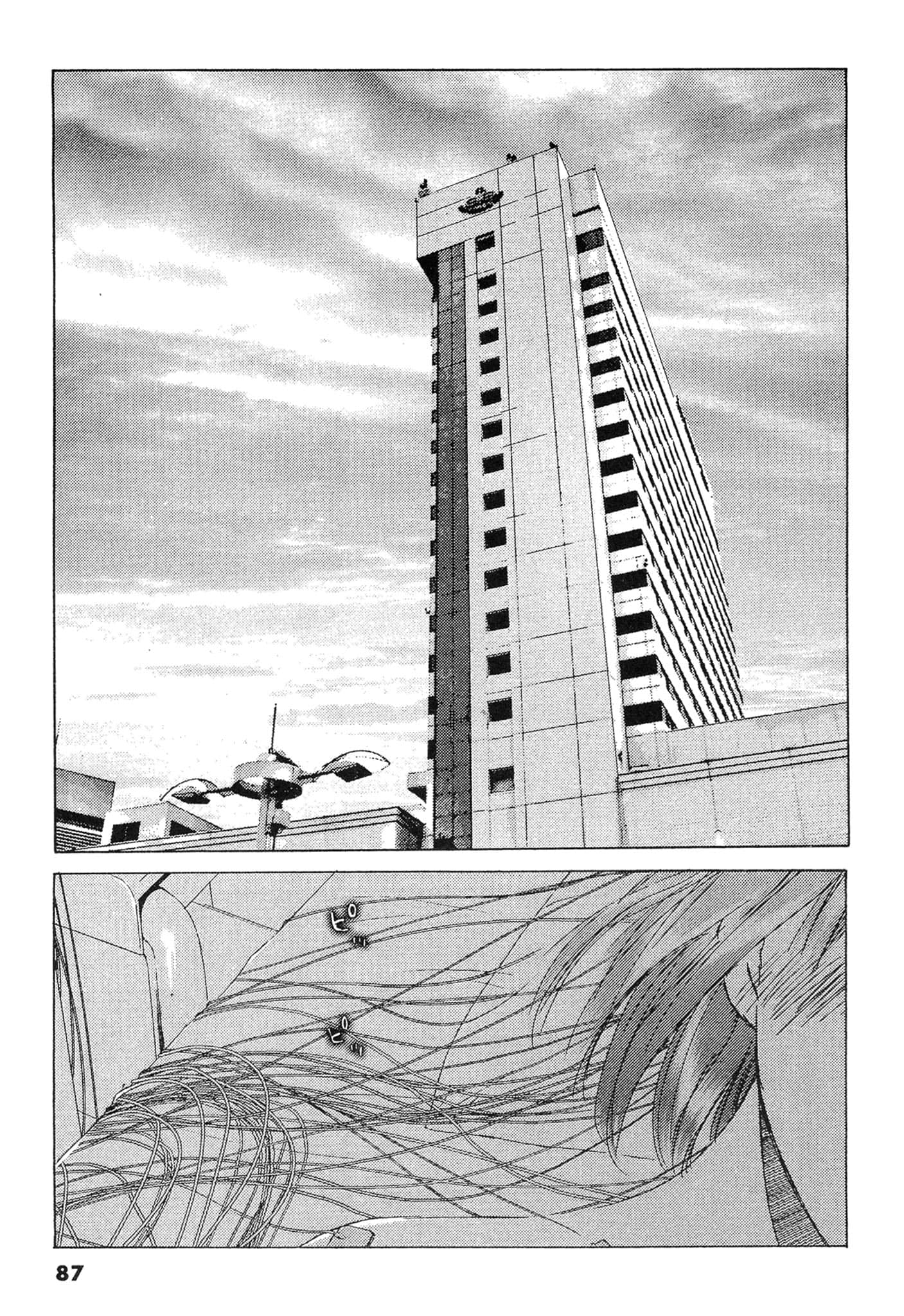 Page 87