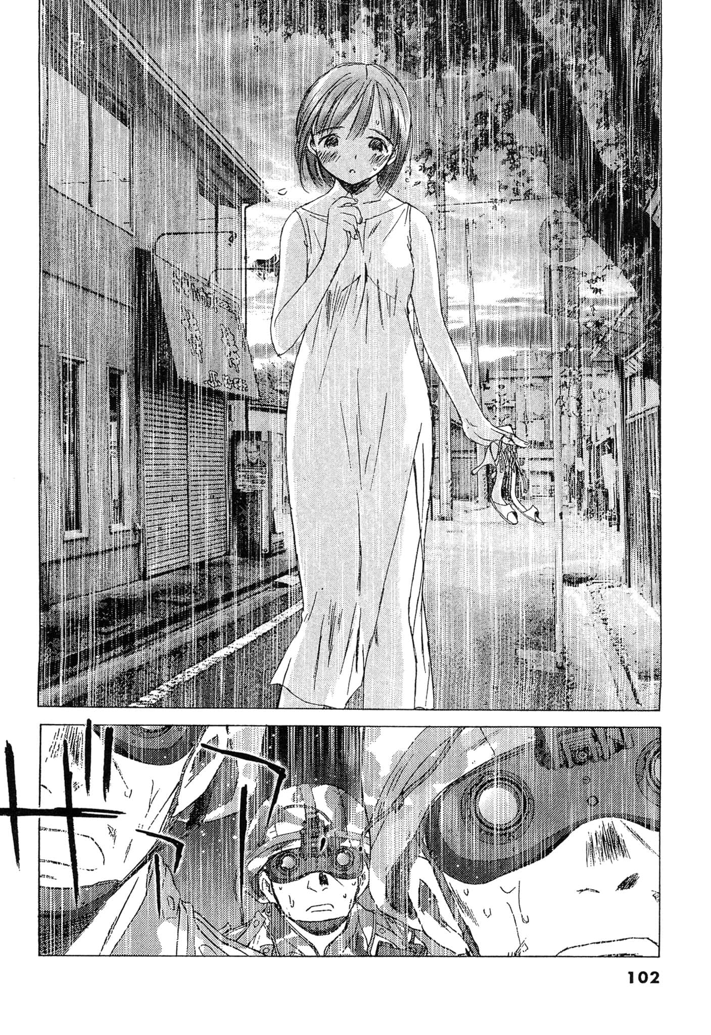 Page 102