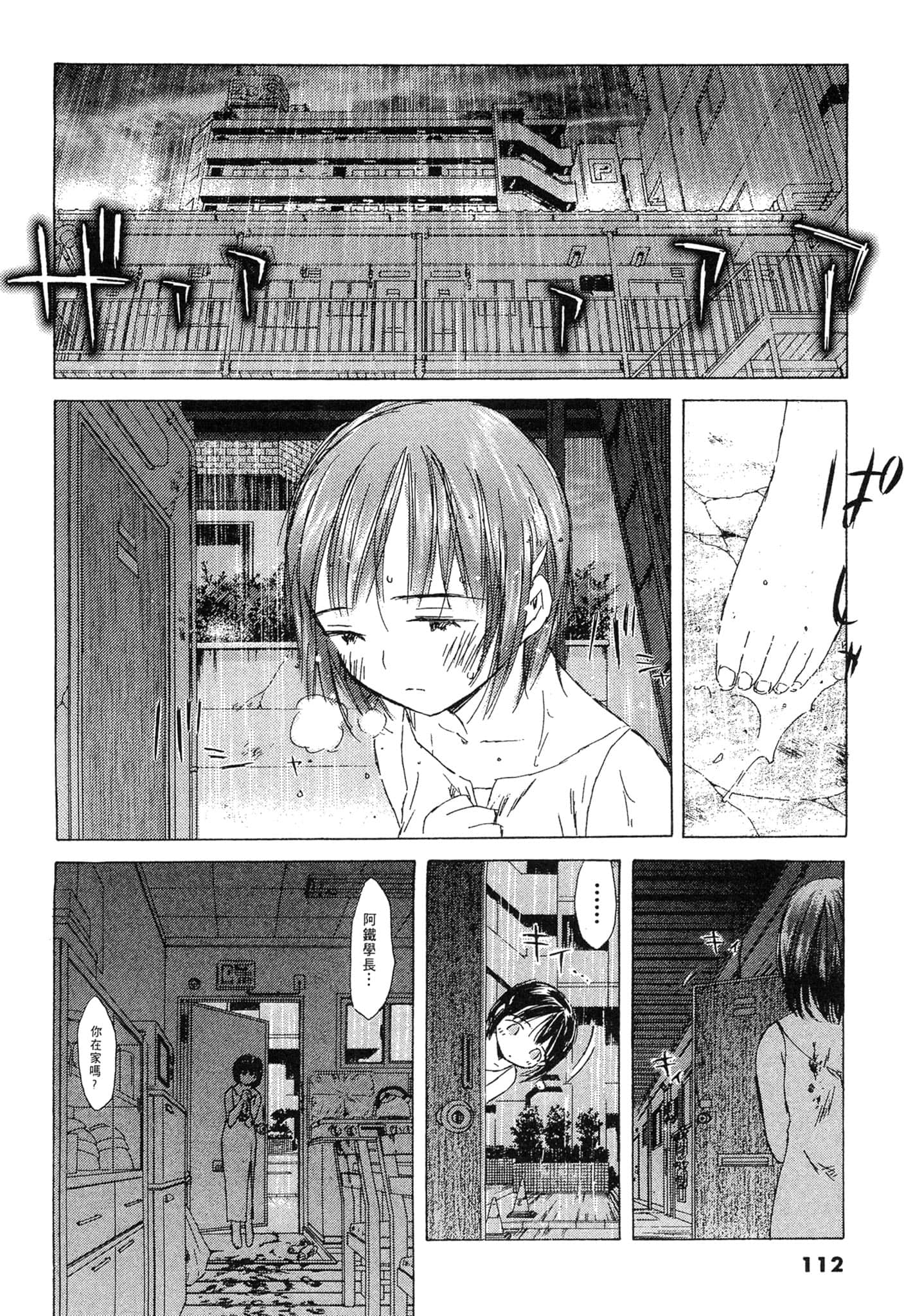 Page 112
