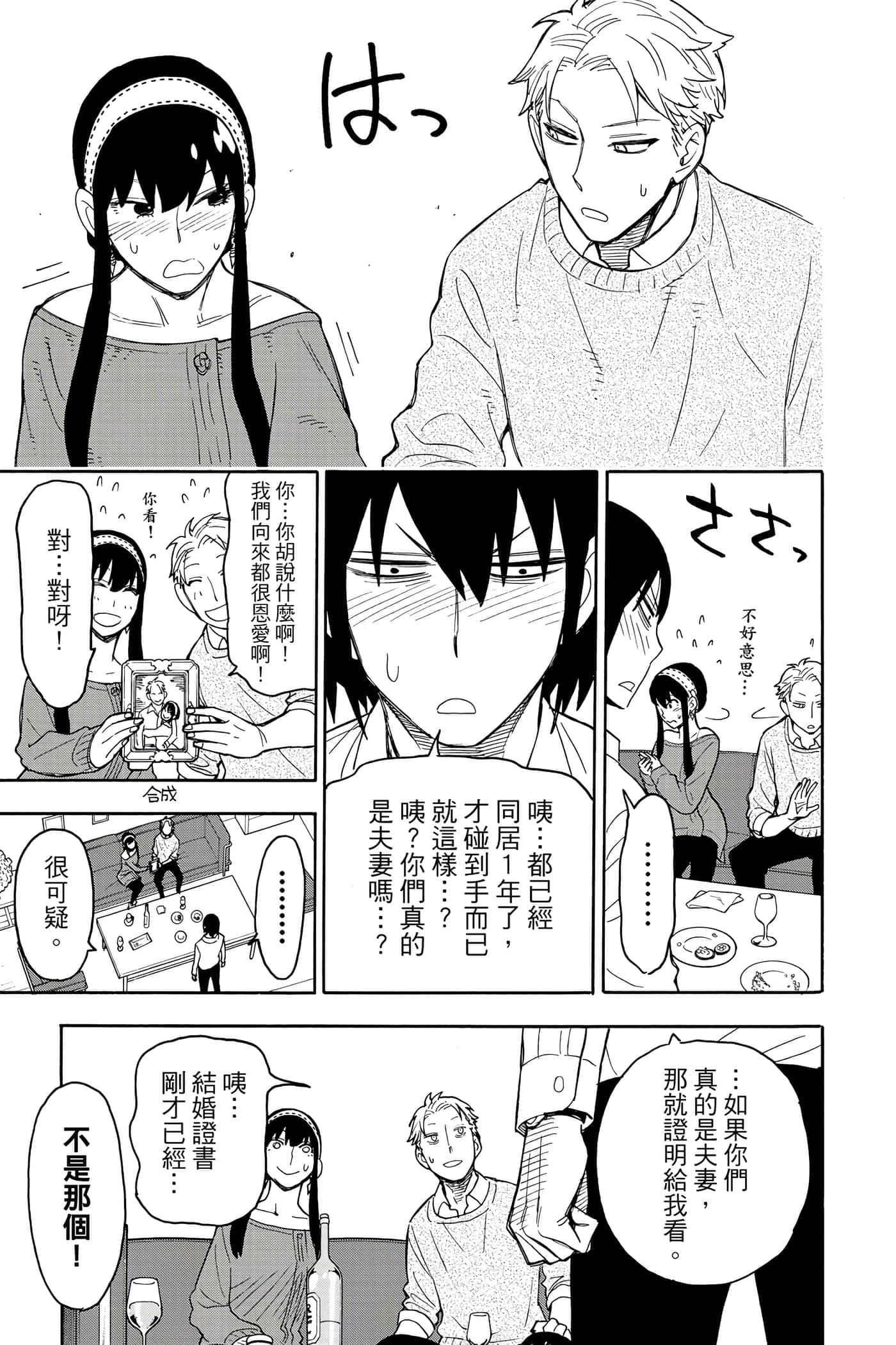 第 28 页